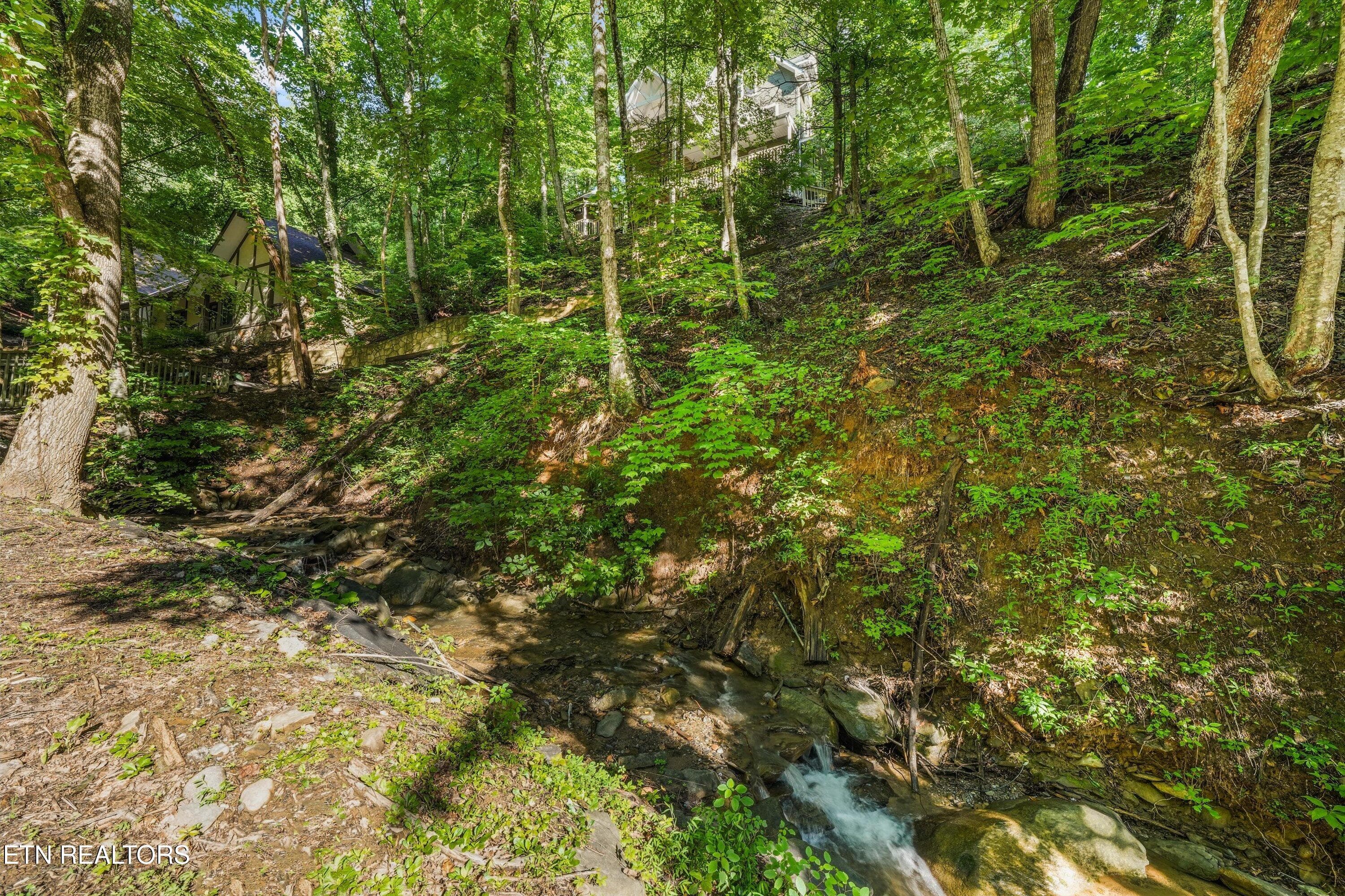 05-1110 Ski Mountain Rd17 - 1110 Ski Mtn Rd, Gatlinburg, TN 37738, Gatlinburg