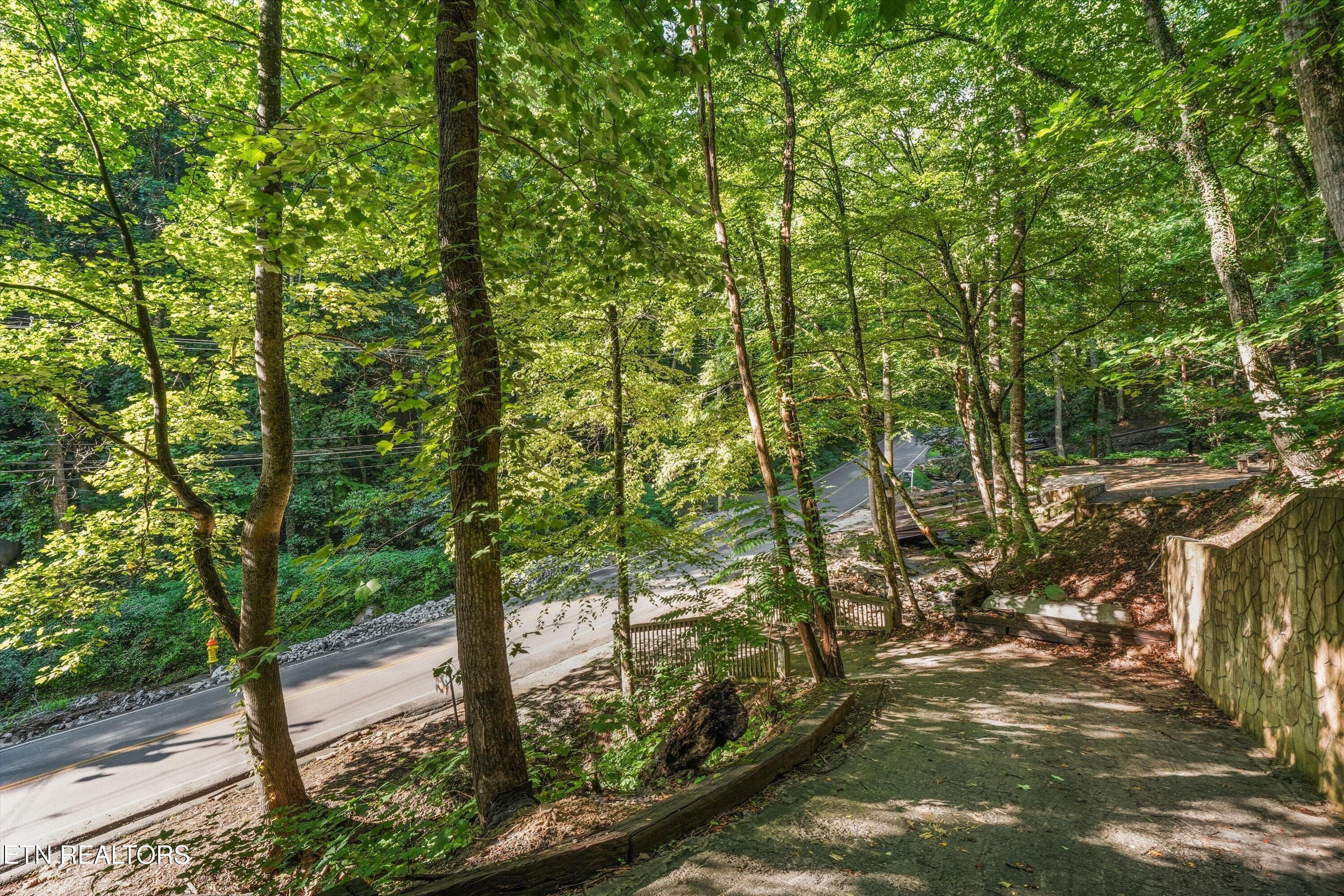 45-1110 Ski Mountain Rd21 - 1110 Ski Mtn Rd, Gatlinburg, TN 37738, Gatlinburg