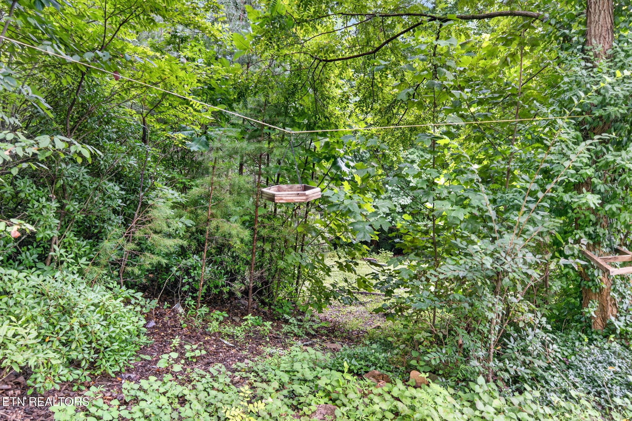 5-web-or-mls-50 Ross Pl_018_TNPC - 50 Ross Place, Monterey, TN 38574