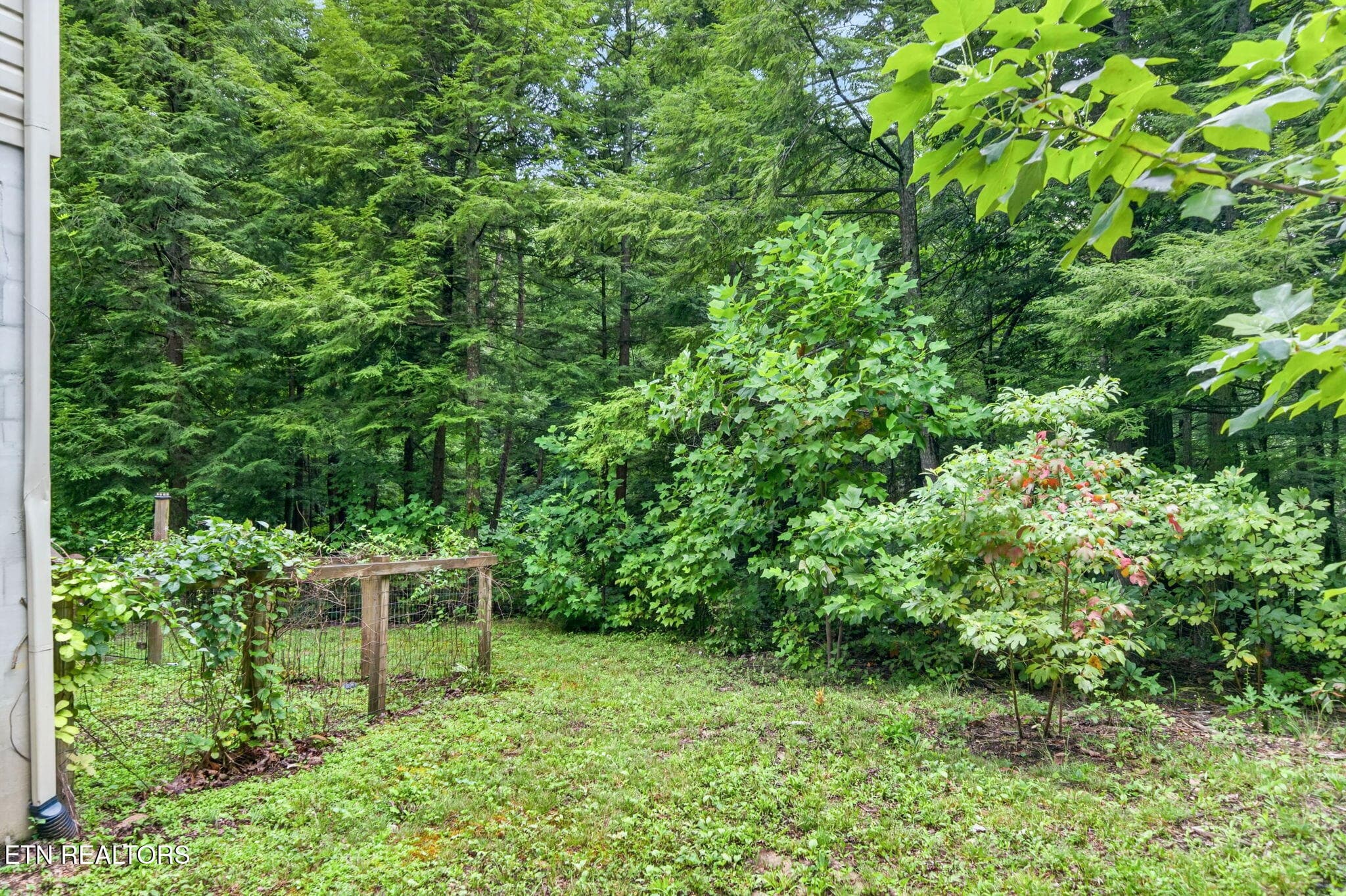 6-web-or-mls-50 Ross Pl_022_TNPC - 50 Ross Place, Monterey, TN 38574