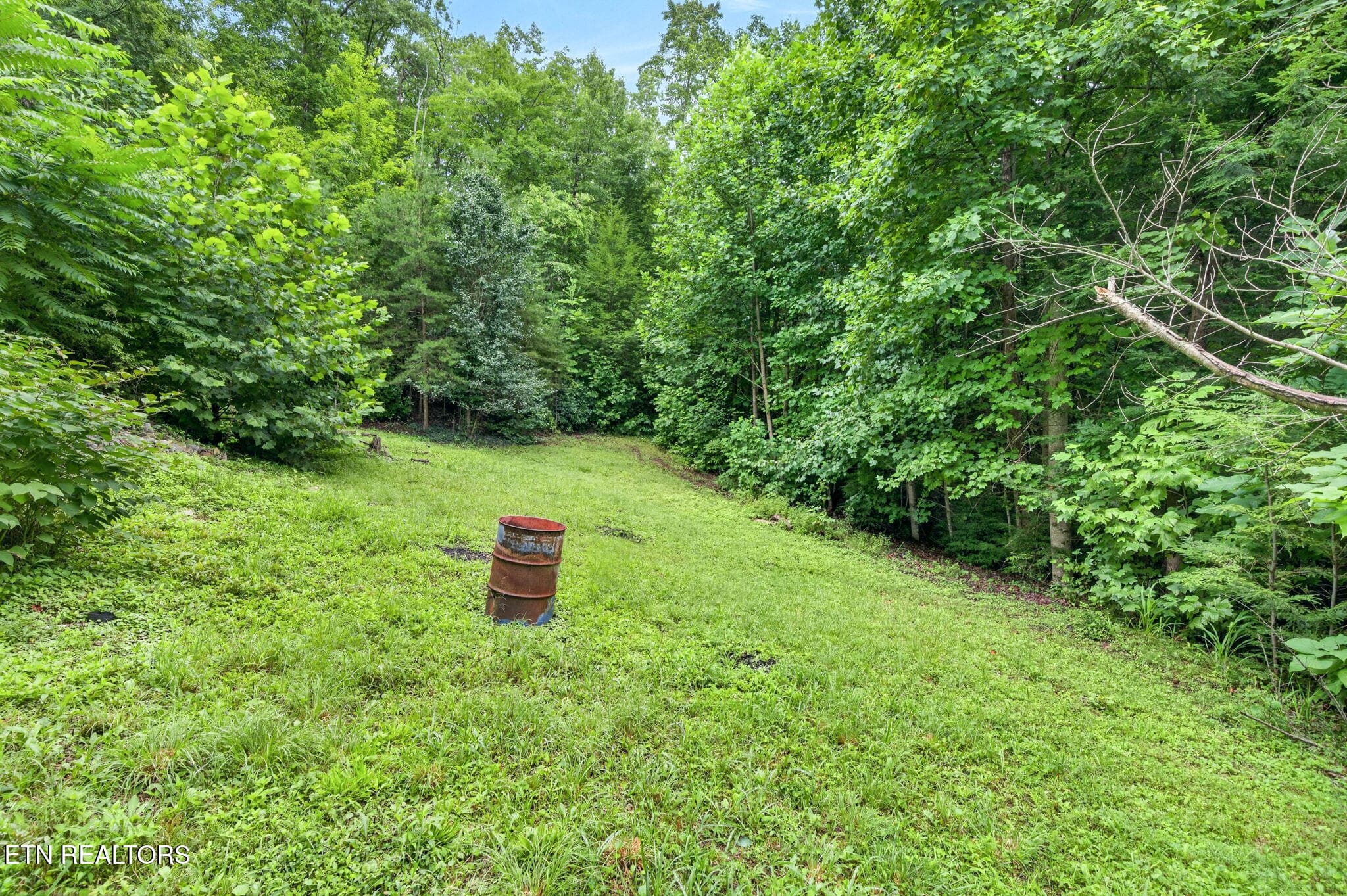 9-web-or-mls-50 Ross Pl_038_TNPC - 50 Ross Place, Monterey, TN 38574