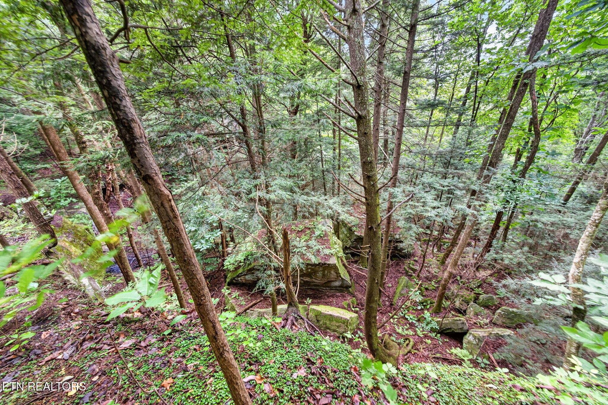 13-web-or-mls-50 Ross Pl_057_TNPC - 50 Ross Place, Monterey, TN 38574