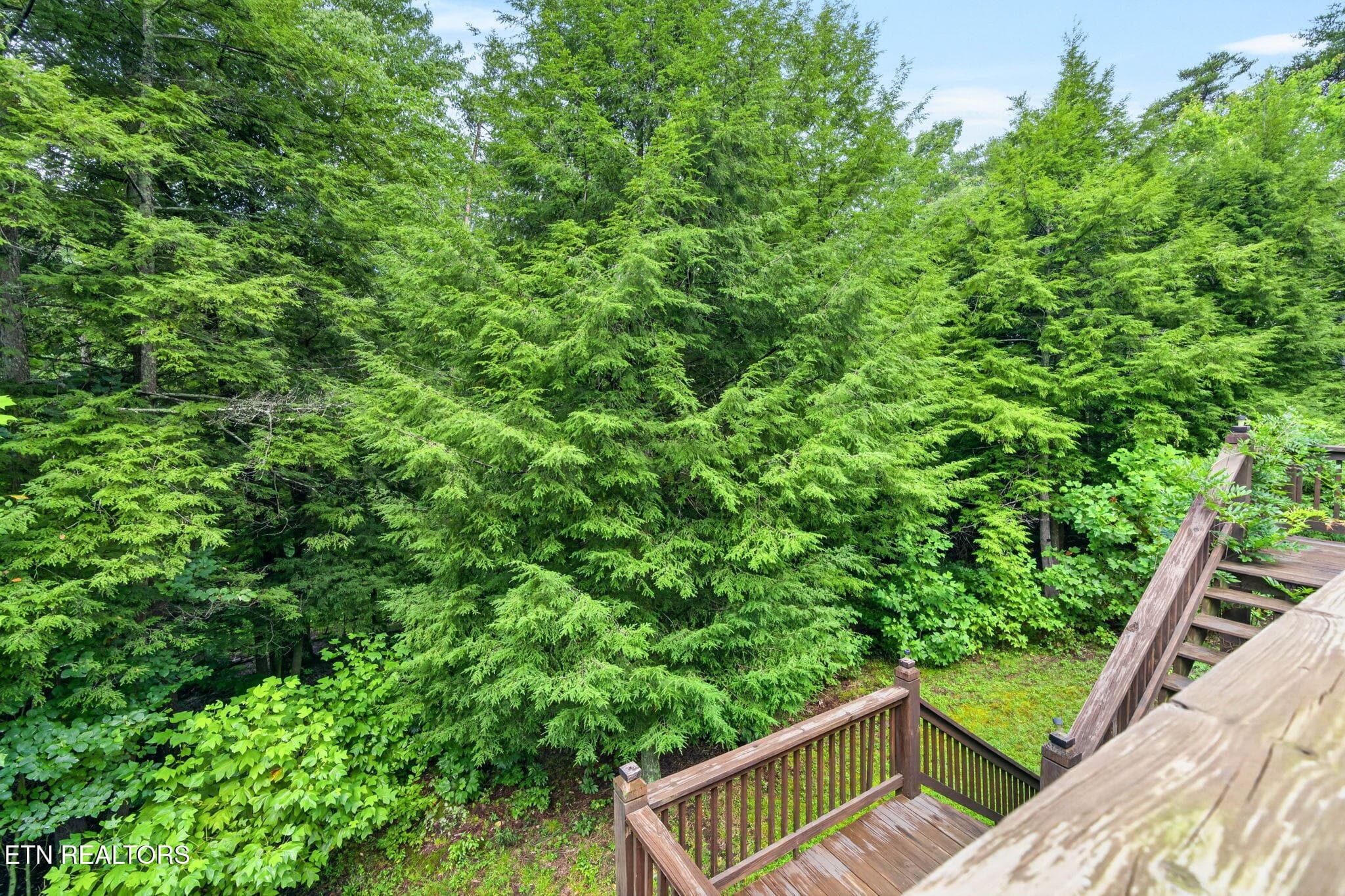 18-web-or-mls-50 Ross Pl_087_TNPC - 50 Ross Place, Monterey, TN 38574