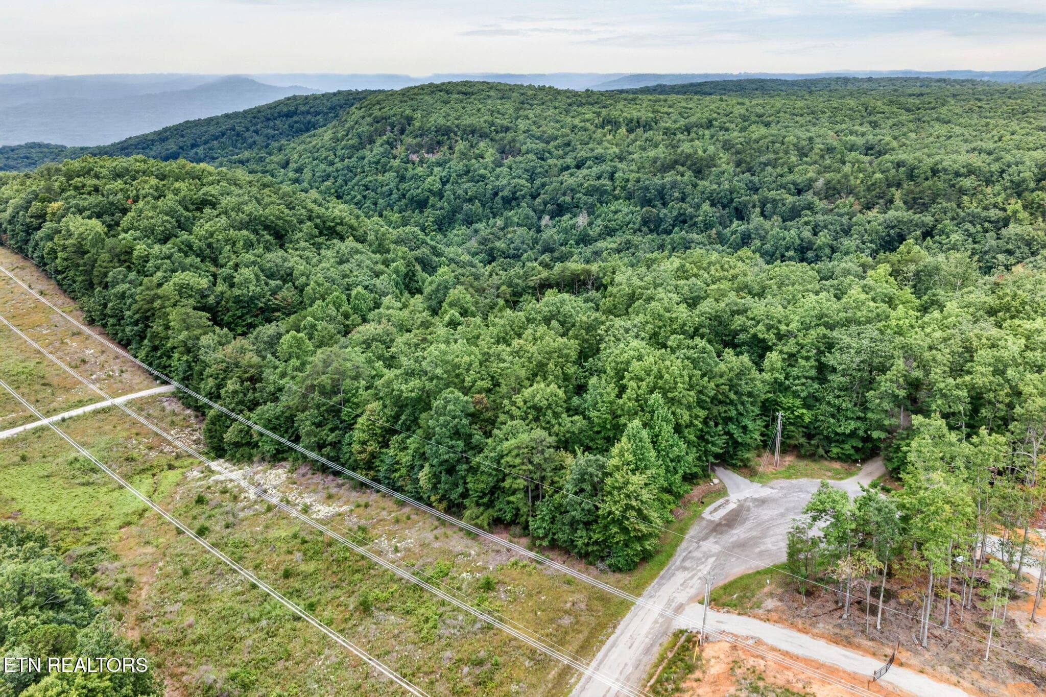 50-web-or-mls-50 Ross Pl_241_TNPC - 50 Ross Place, Monterey, TN 38574