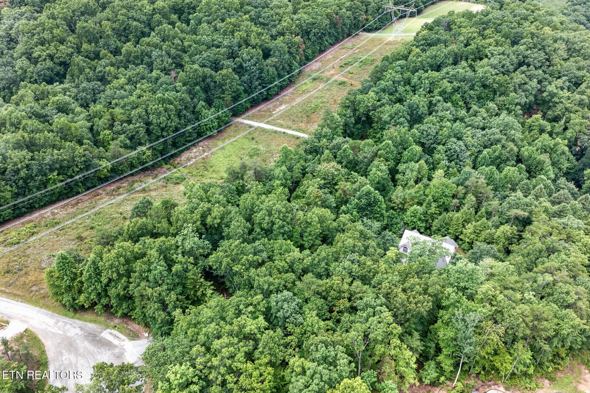 52-web-or-mls-50 Ross Pl_253_TNPC - 50 Ross Place, Monterey, TN 38574