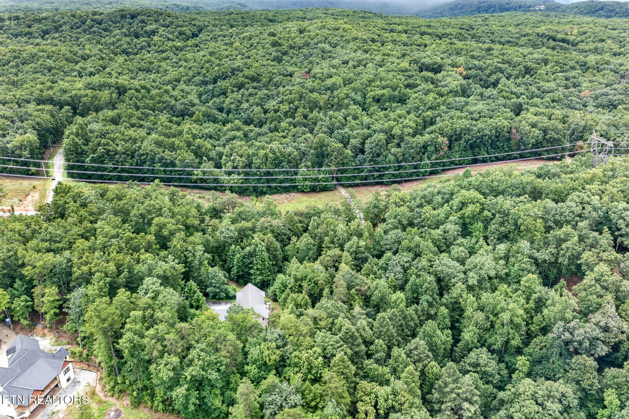 53-web-or-mls-50 Ross Pl_256_TNPC - 50 Ross Place, Monterey, TN 38574