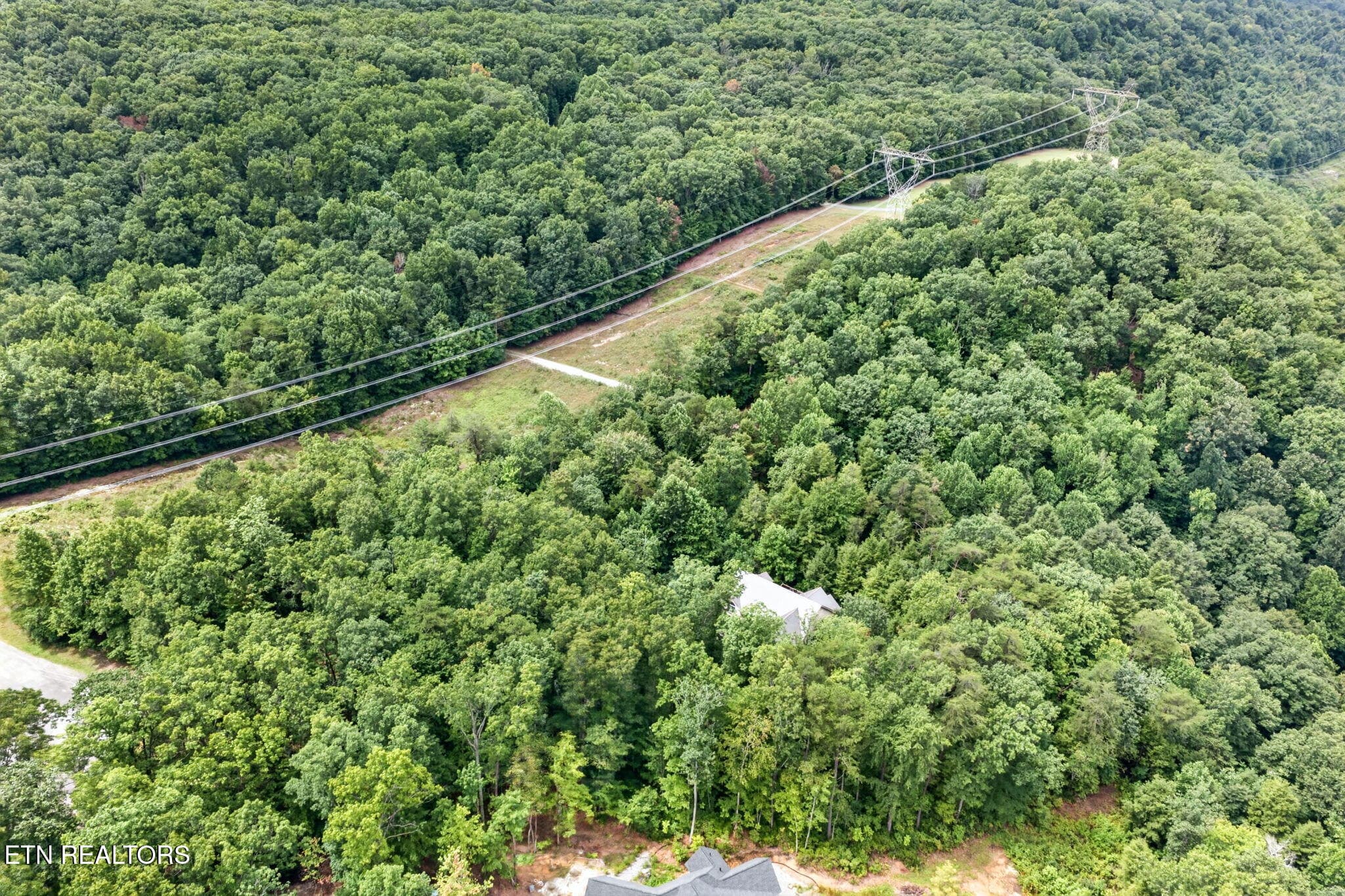 54-web-or-mls-50 Ross Pl_262_TNPC - 50 Ross Place, Monterey, TN 38574