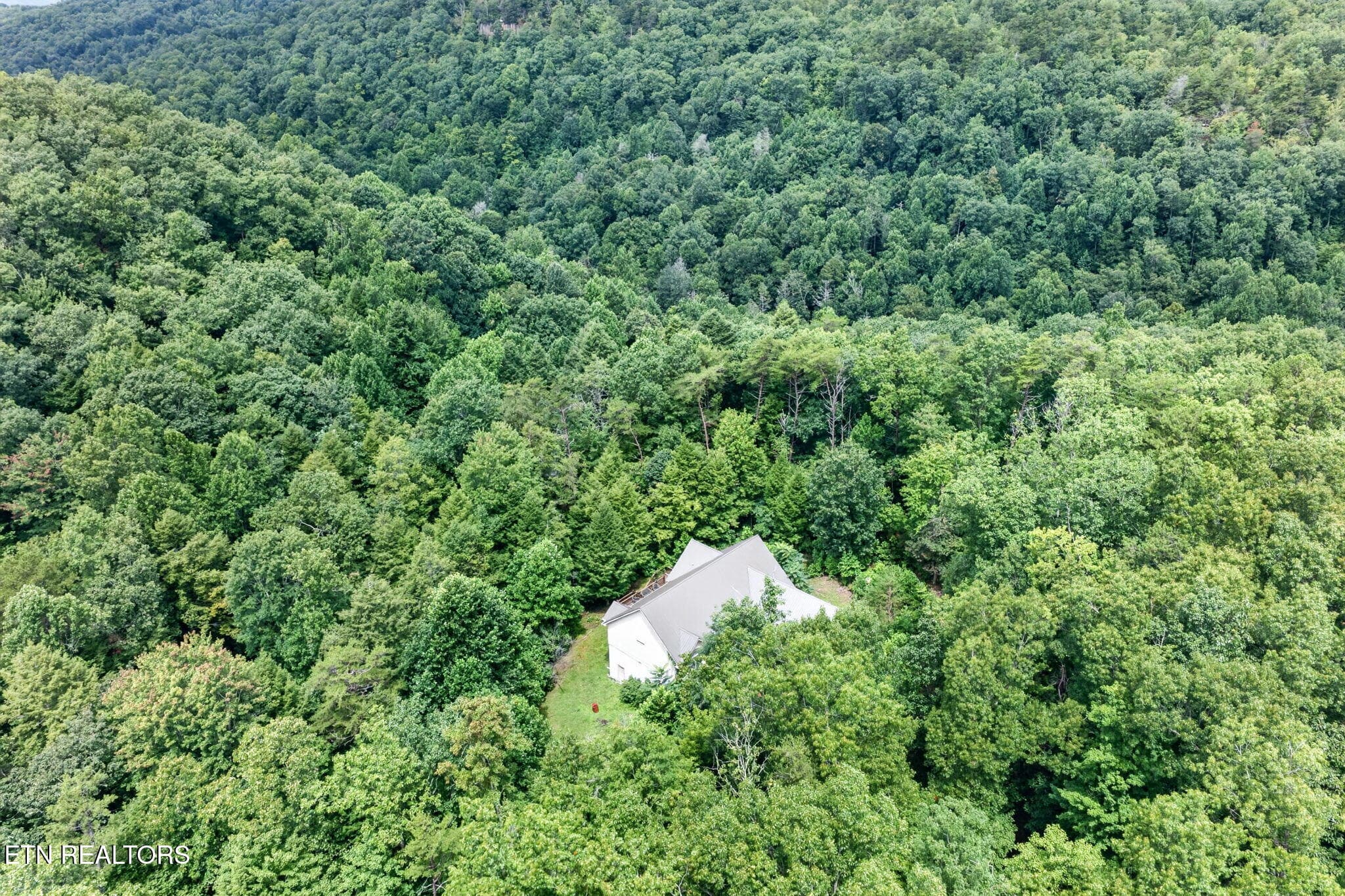 57-web-or-mls-50 Ross Pl_276_TNPC - 50 Ross Place, Monterey, TN 38574