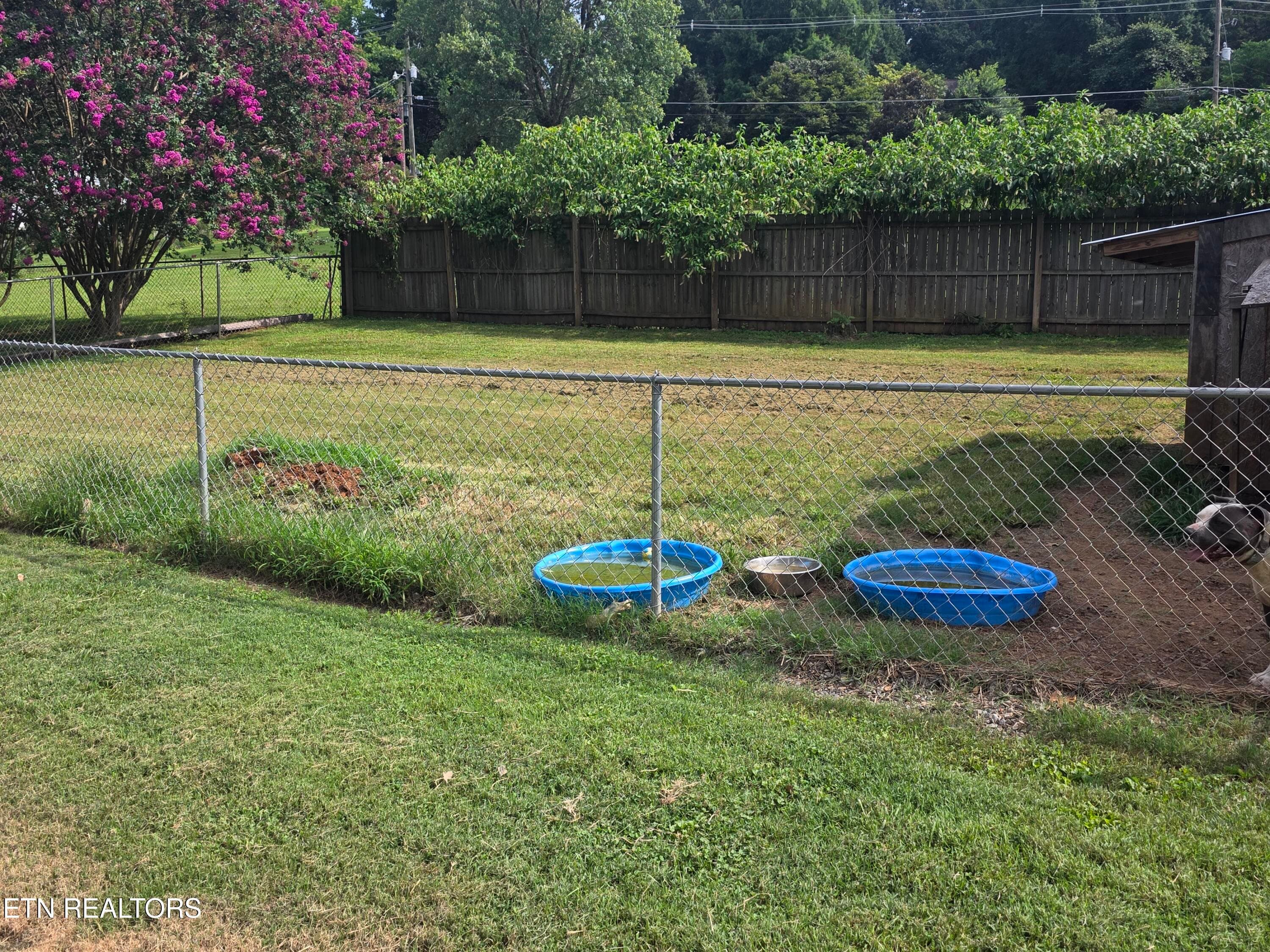 20260724_163830 - 1283 Laurel Rd, Clinton, TN 37716