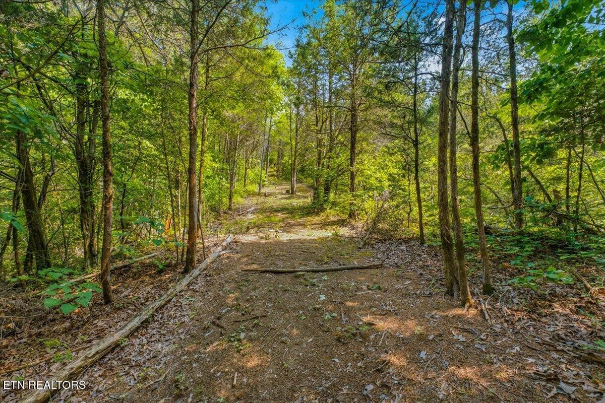 34-Exterior - 1814 Big Gully Rd, Maryville, TN 37801