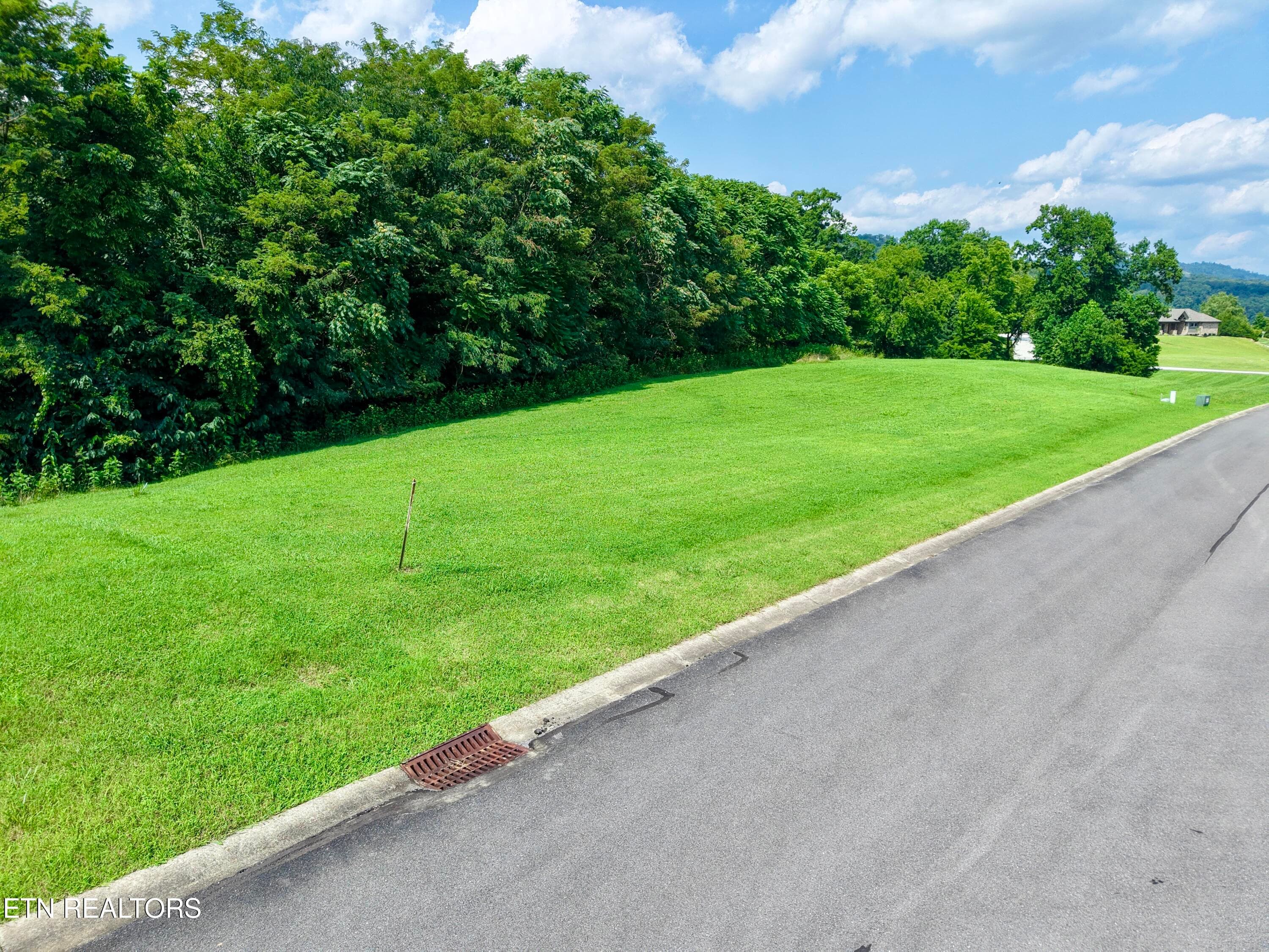 5043 Serenity Drive, Mooresburg, TN 37811