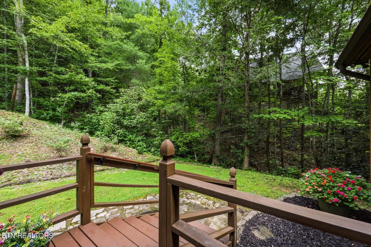 450 Mountain John Loop29 (35)[3000] - 450 Mountain John Loop, Townsend, TN 37882