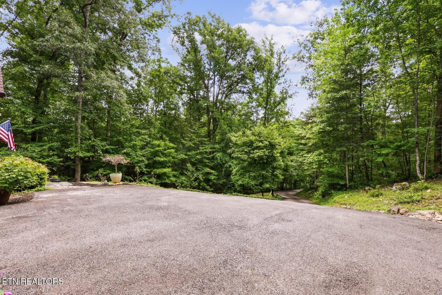 450 Mountain John Loop35 (41)[3000] - 450 Mountain John Loop, Townsend, TN 37882