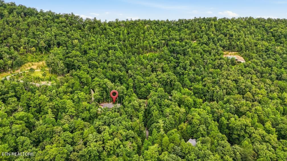 450 Mountain John Loop46 (48)[3000] - 450 Mountain John Loop, Townsend, TN 37882