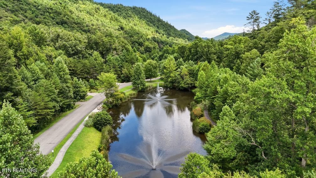 450 Mountain John Loop48 (49)[3000] - 450 Mountain John Loop, Townsend, TN 37882