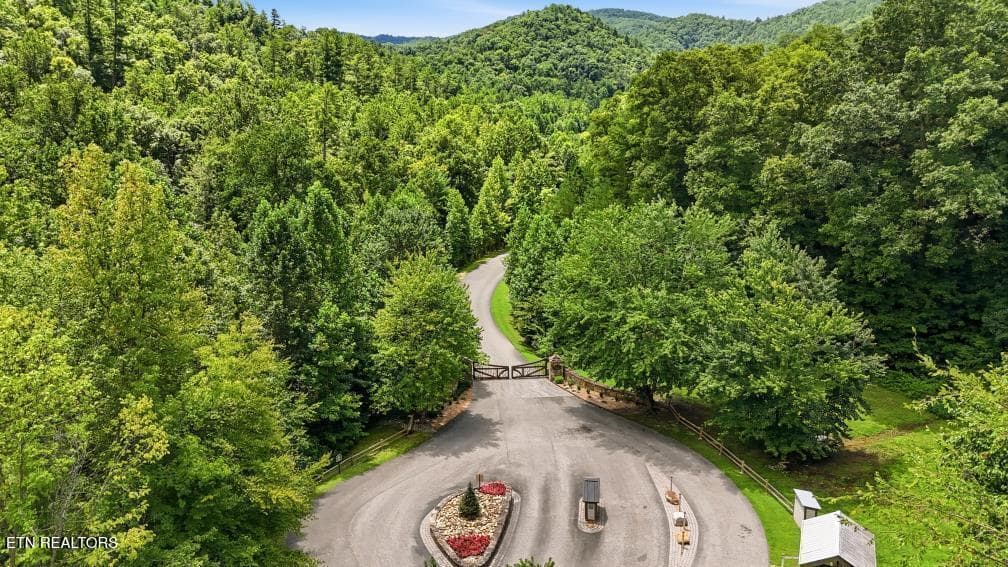 450 Mountain John Loop49 (50)[3000] - 450 Mountain John Loop, Townsend, TN 37882