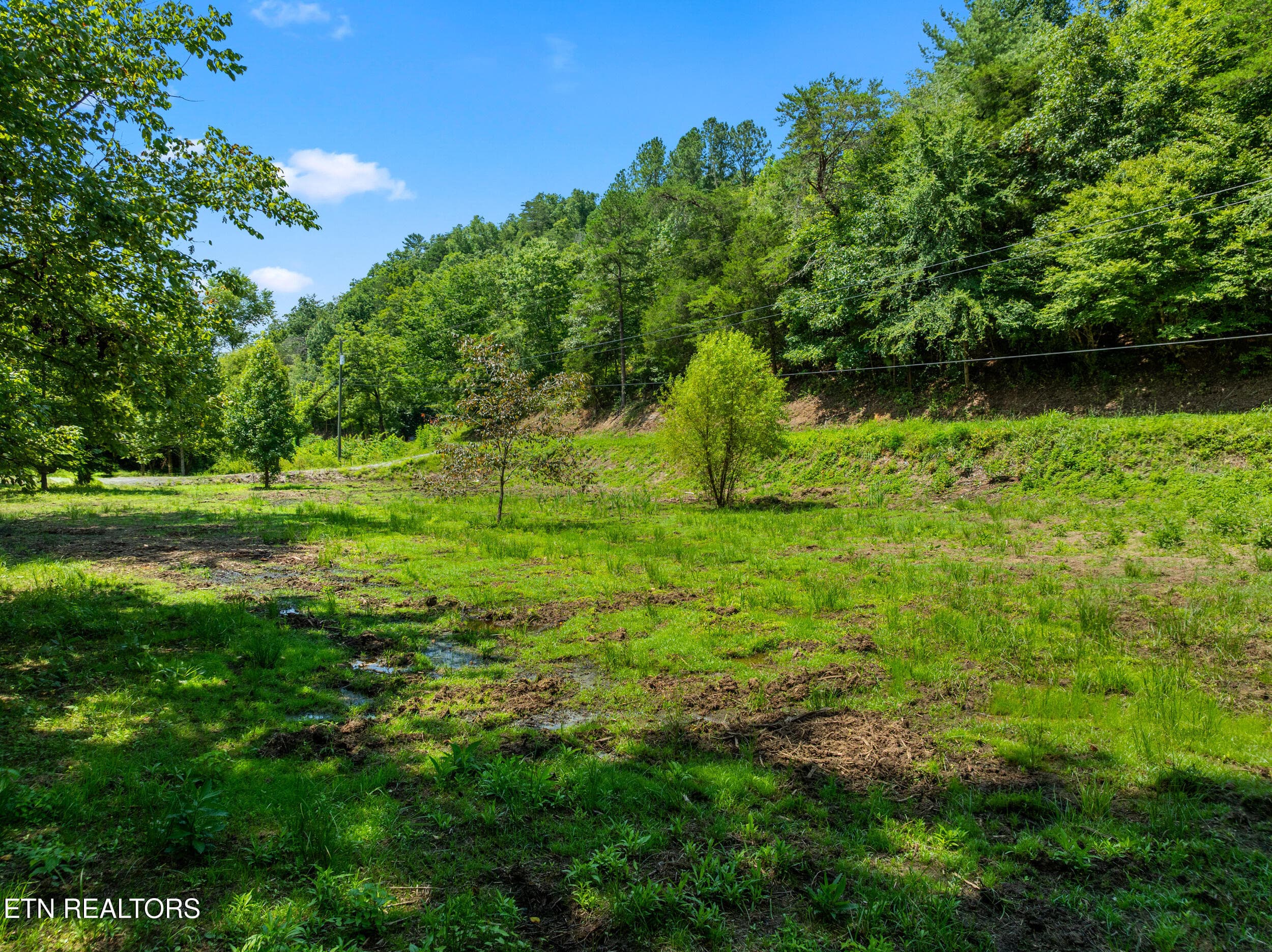 jones cove lot-7 - Jones Cove Rd, Sevierville, TN 37876