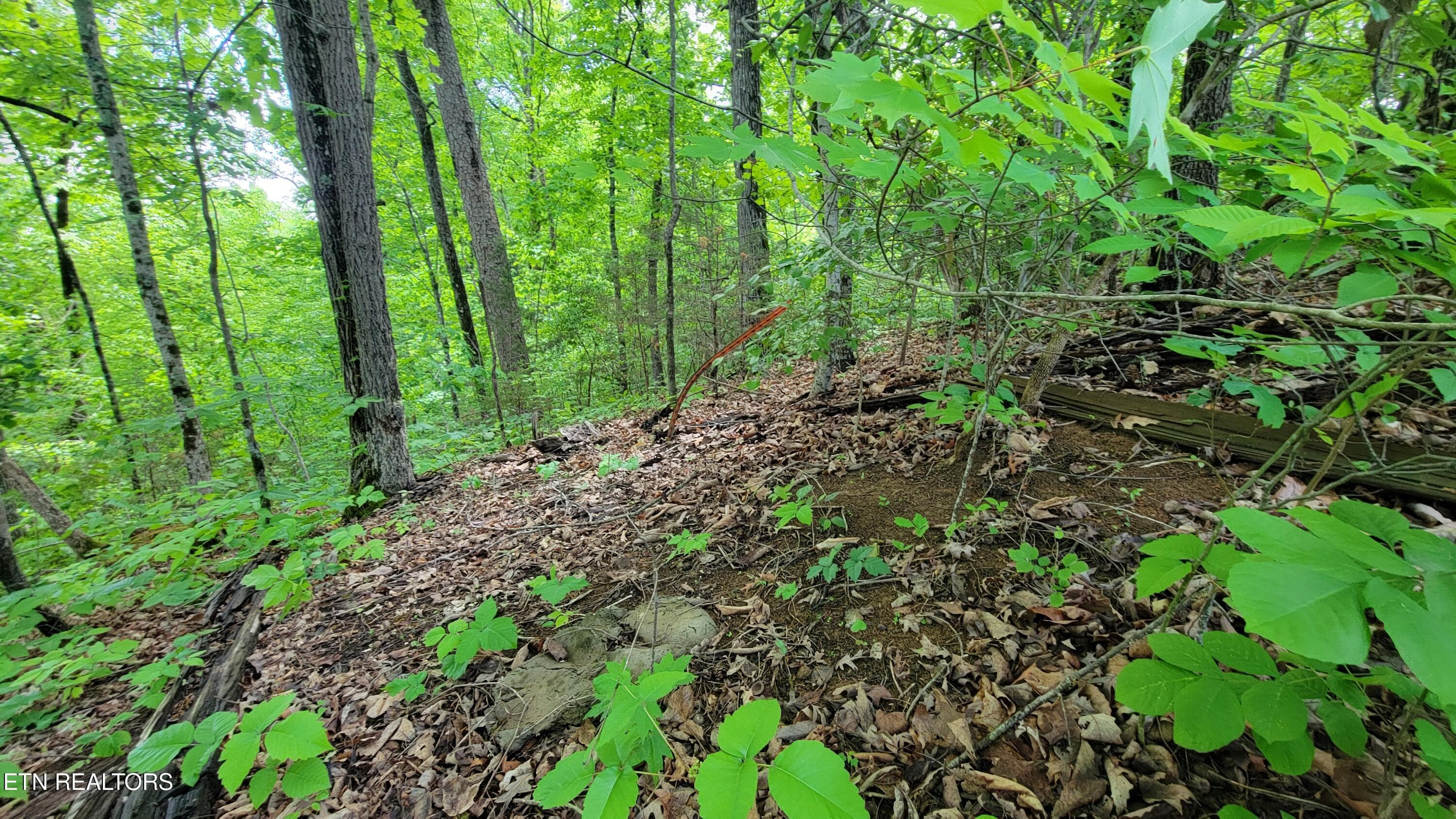 ROLLING SLOPE AT INTERIOR - 0 Paradise Ridge Drive, Sevierville, TN 37862