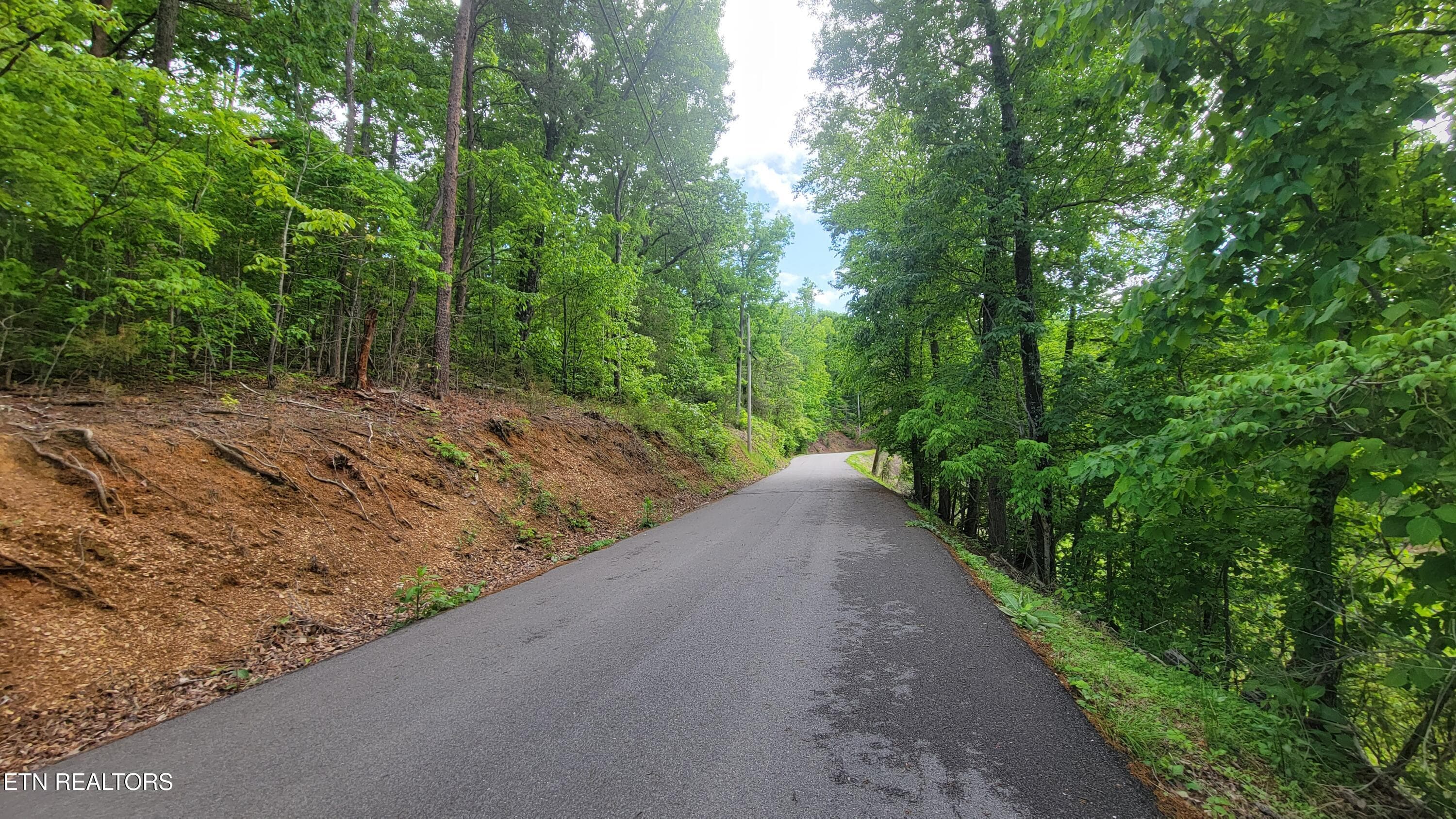 ADDITIONAL ACCESS AT LOWER END OF LOT - 0 Paradise Ridge Drive, Sevierville, TN 37862