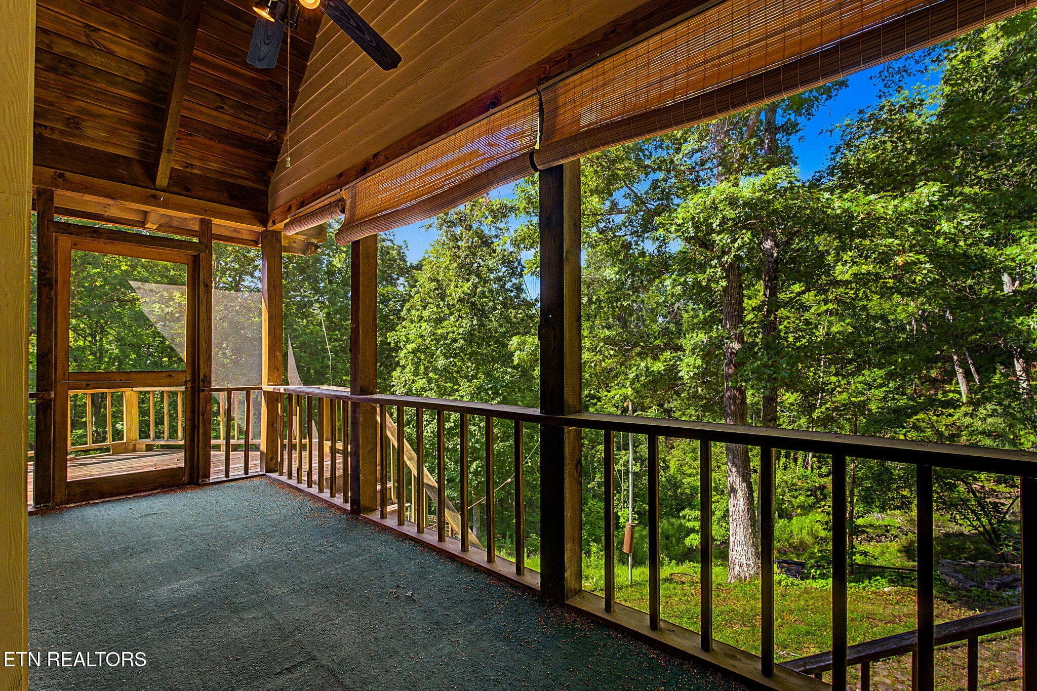 37-web-or-mls-1231-vardy-blackwater-rd - 1231 Vardy Blackwater Rd, Sneedville, TN 37869