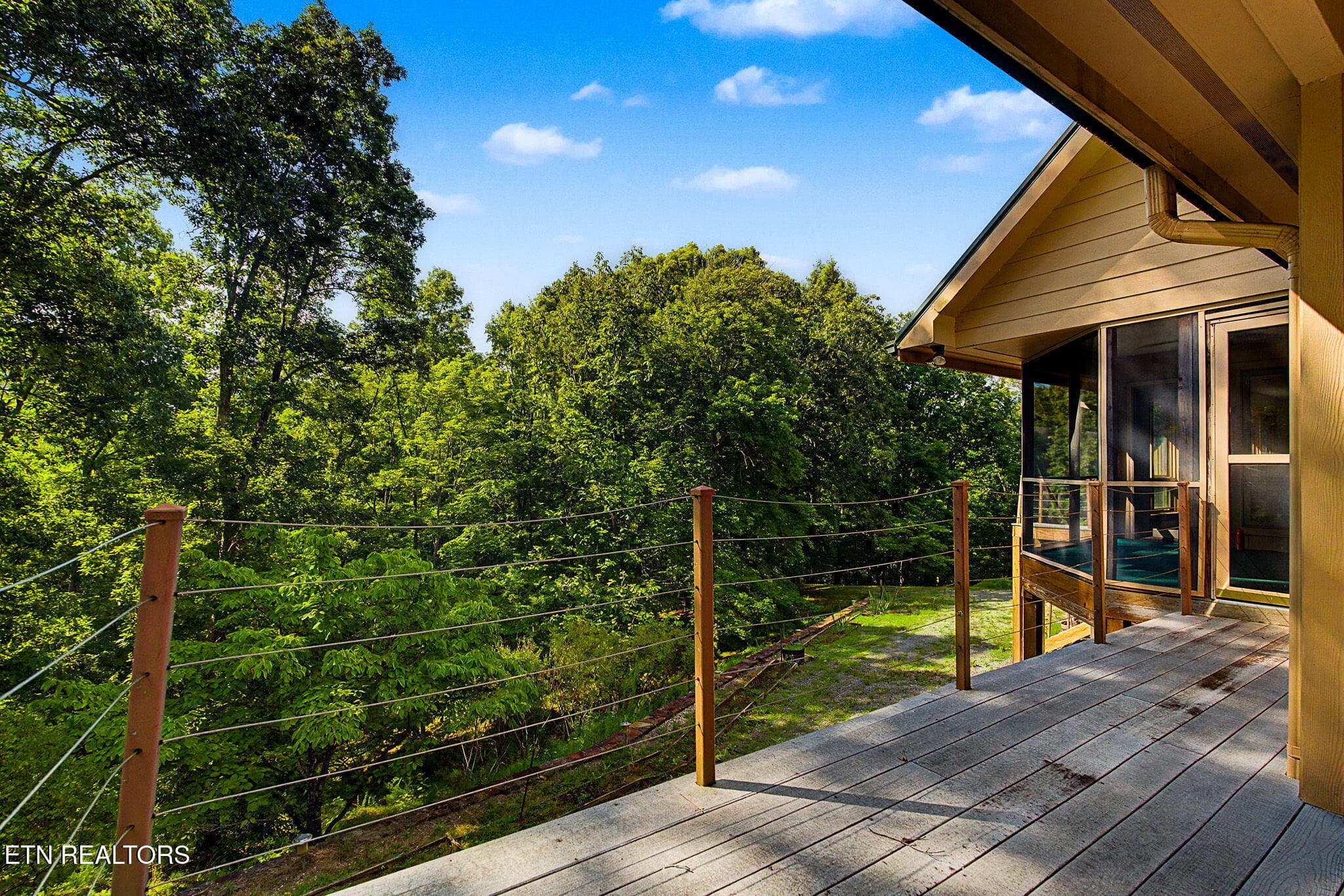 45-web-or-mls-1231-vardy-blackwater-rd - 1231 Vardy Blackwater Rd, Sneedville, TN 37869