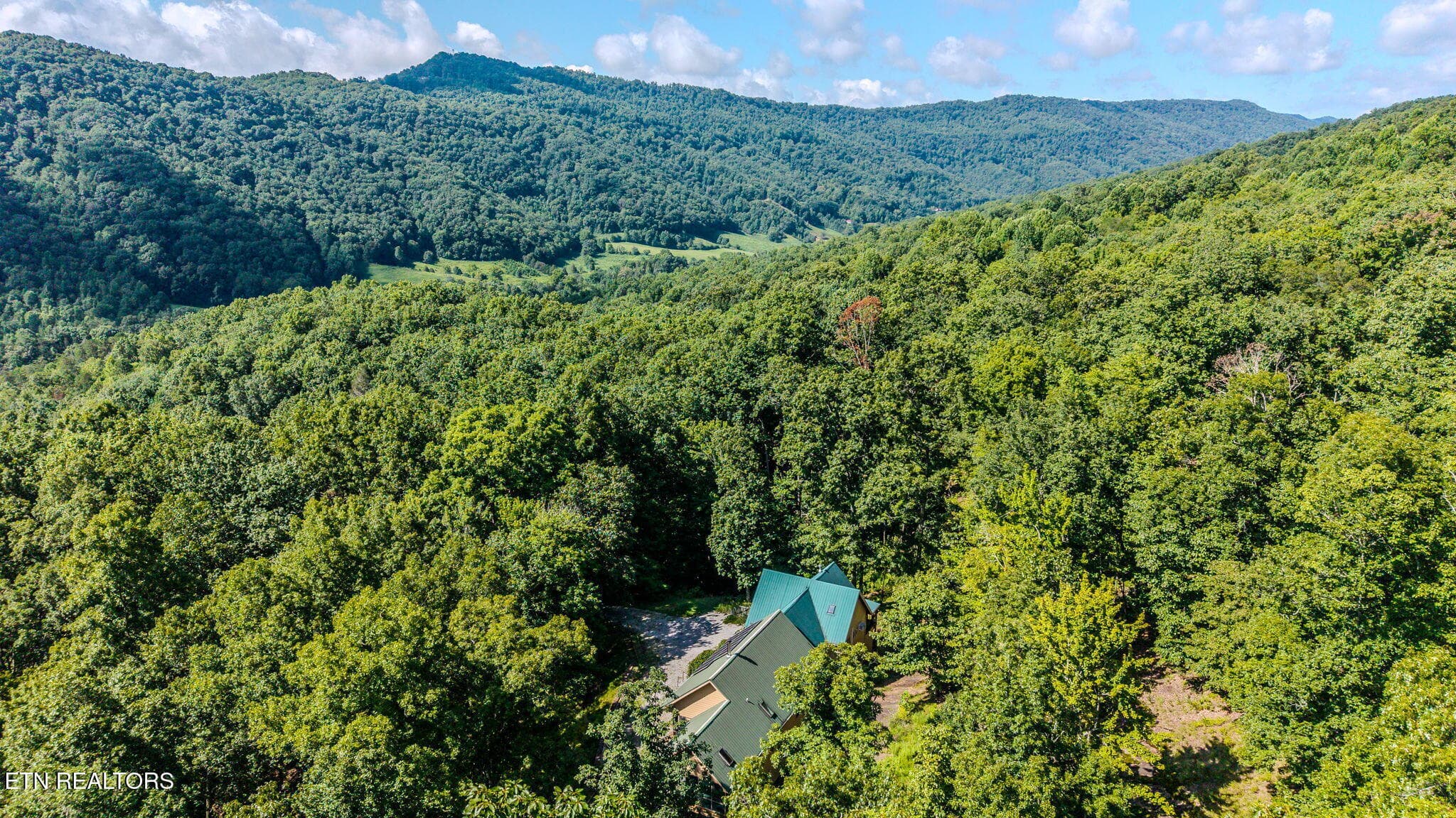 19-web-or-mls-1231-vardy-blackwater-rd - 1231 Vardy Blackwater Rd, Sneedville, TN 37869