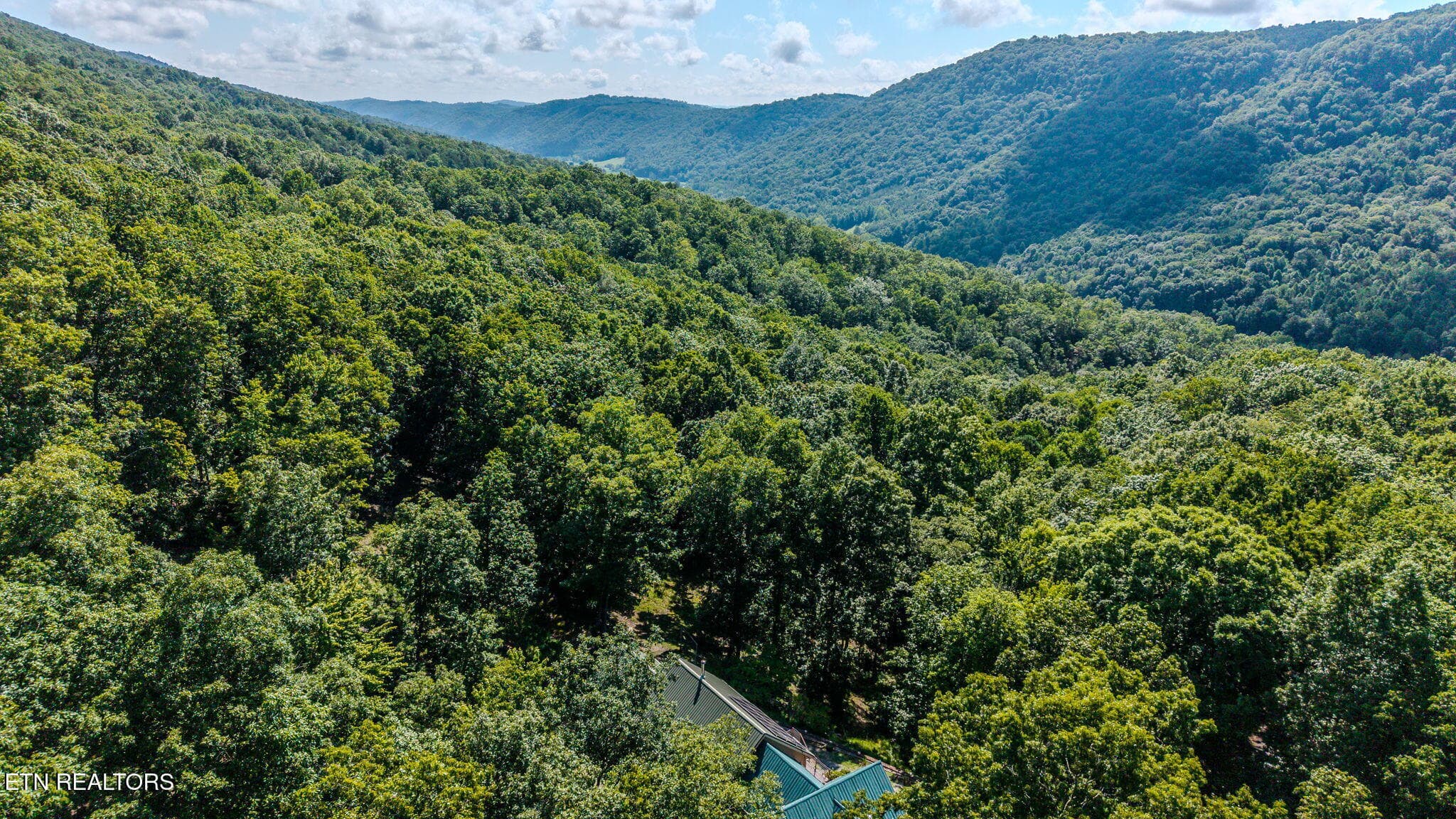 20-web-or-mls-1231-vardy-blackwater-rd - 1231 Vardy Blackwater Rd, Sneedville, TN 37869