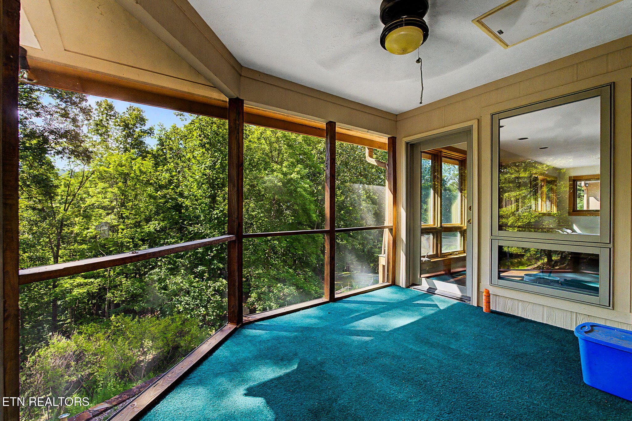 1-web-or-mls-1231-vardy-blackwater-rd - 1231 Vardy Blackwater Rd, Sneedville, TN 37869
