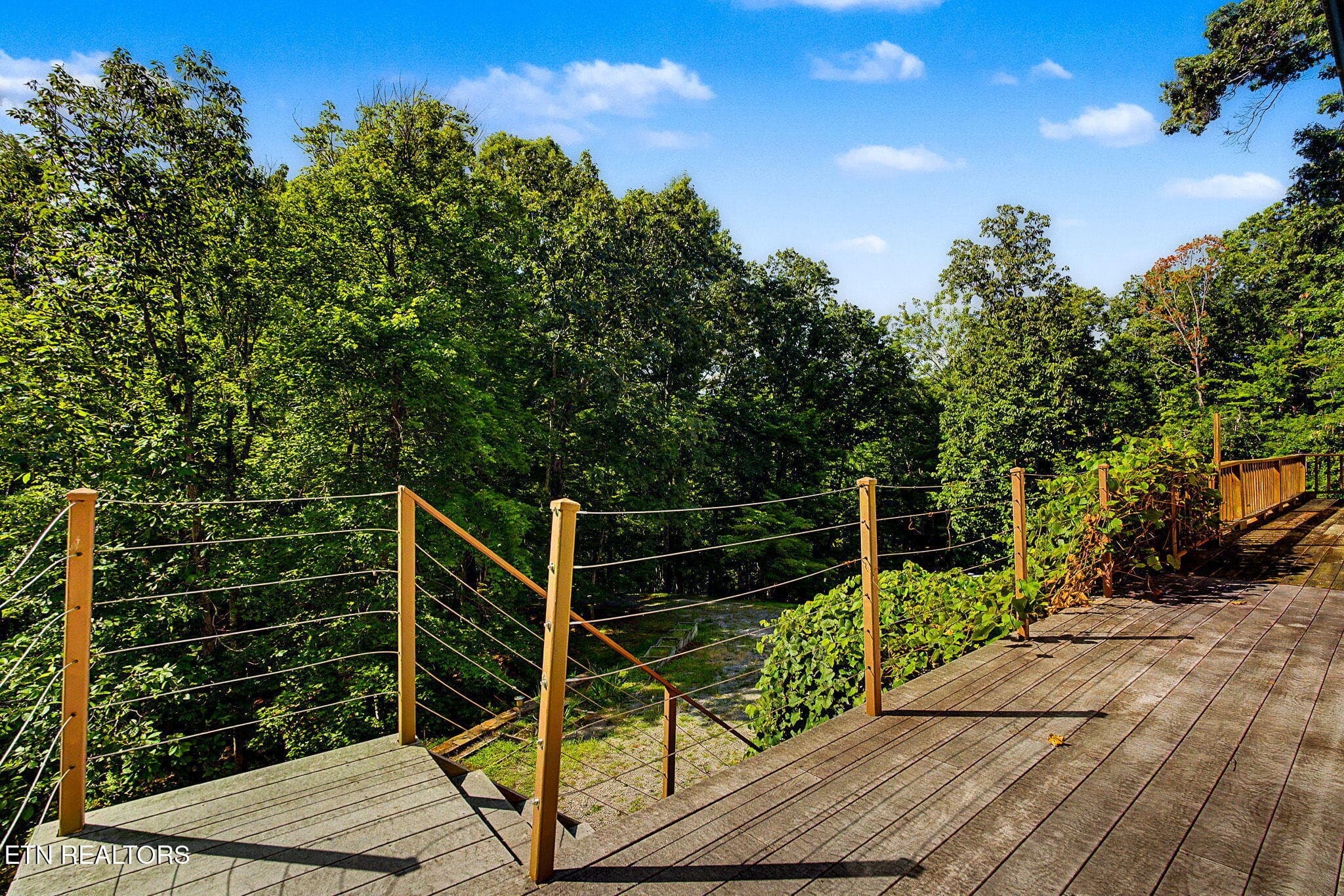 2-web-or-mls-1231-vardy-blackwater-rd - 1231 Vardy Blackwater Rd, Sneedville, TN 37869