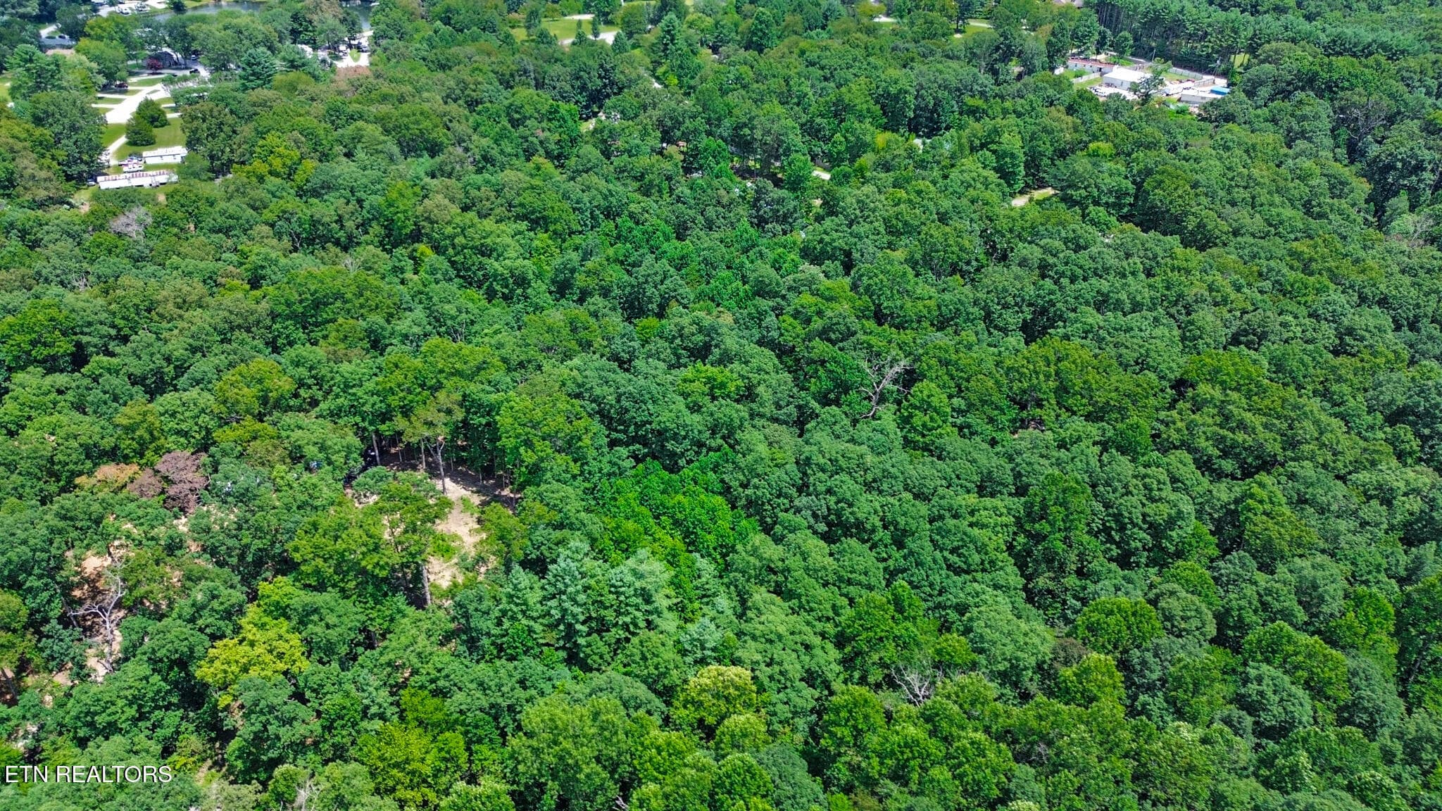 dji_0490-dji_0492 - 169 Woods Hollow Lane, Crossville, TN 38571, Crossville