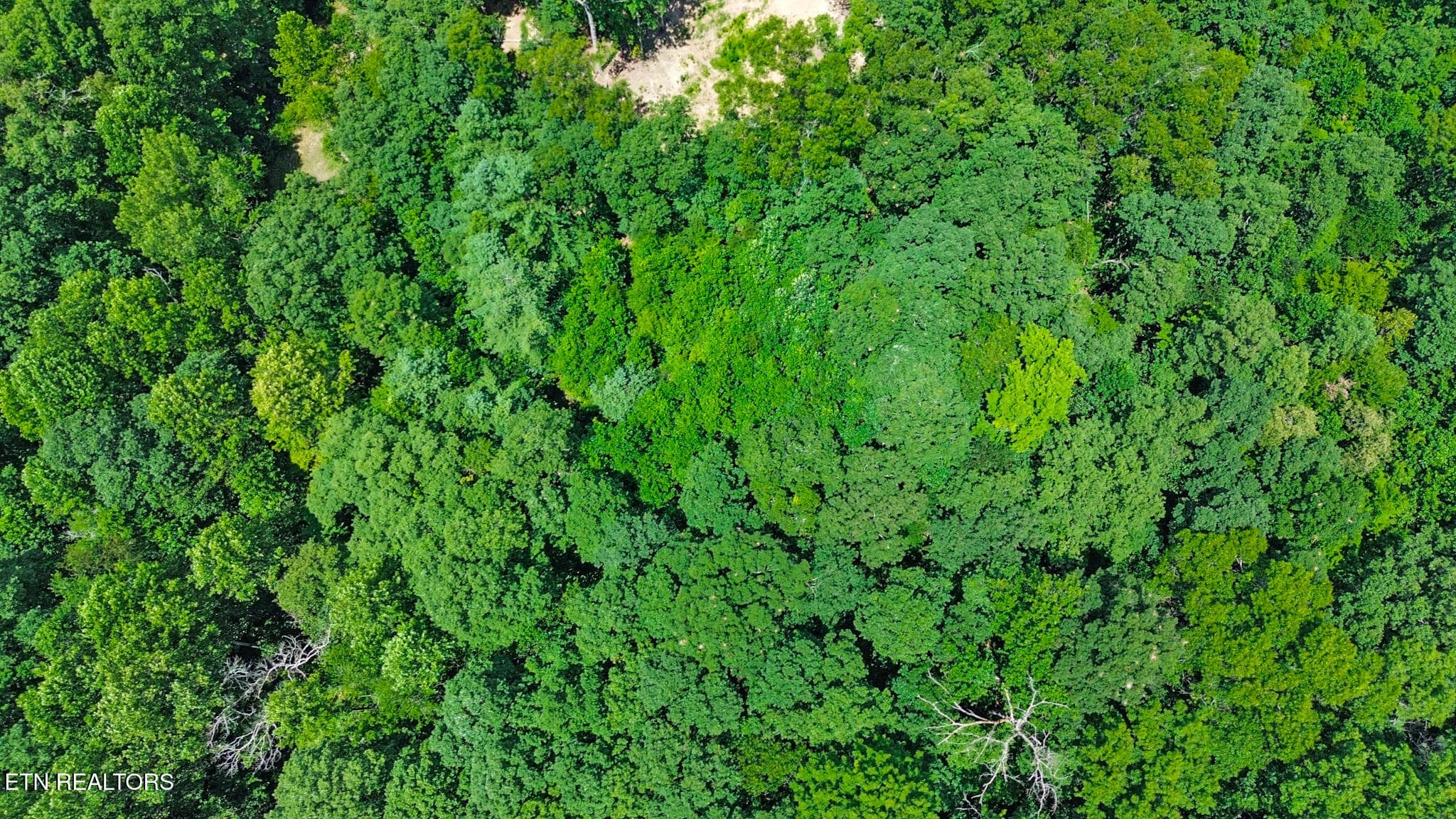 dji_0496-dji_0498 - 169 Woods Hollow Lane, Crossville, TN 38571, Crossville
