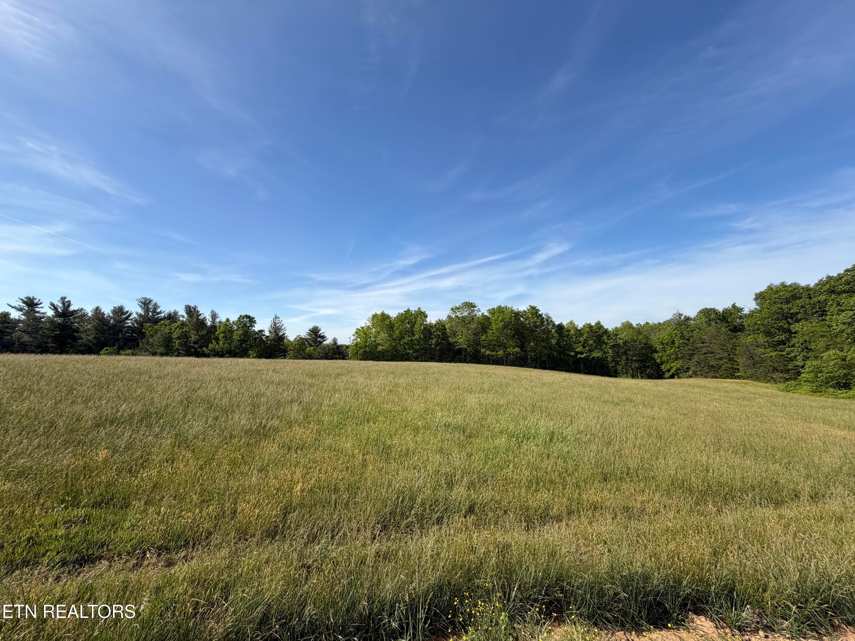 IMG_0419 - 110 Don Conatser Rd, Allardt, TN 38504