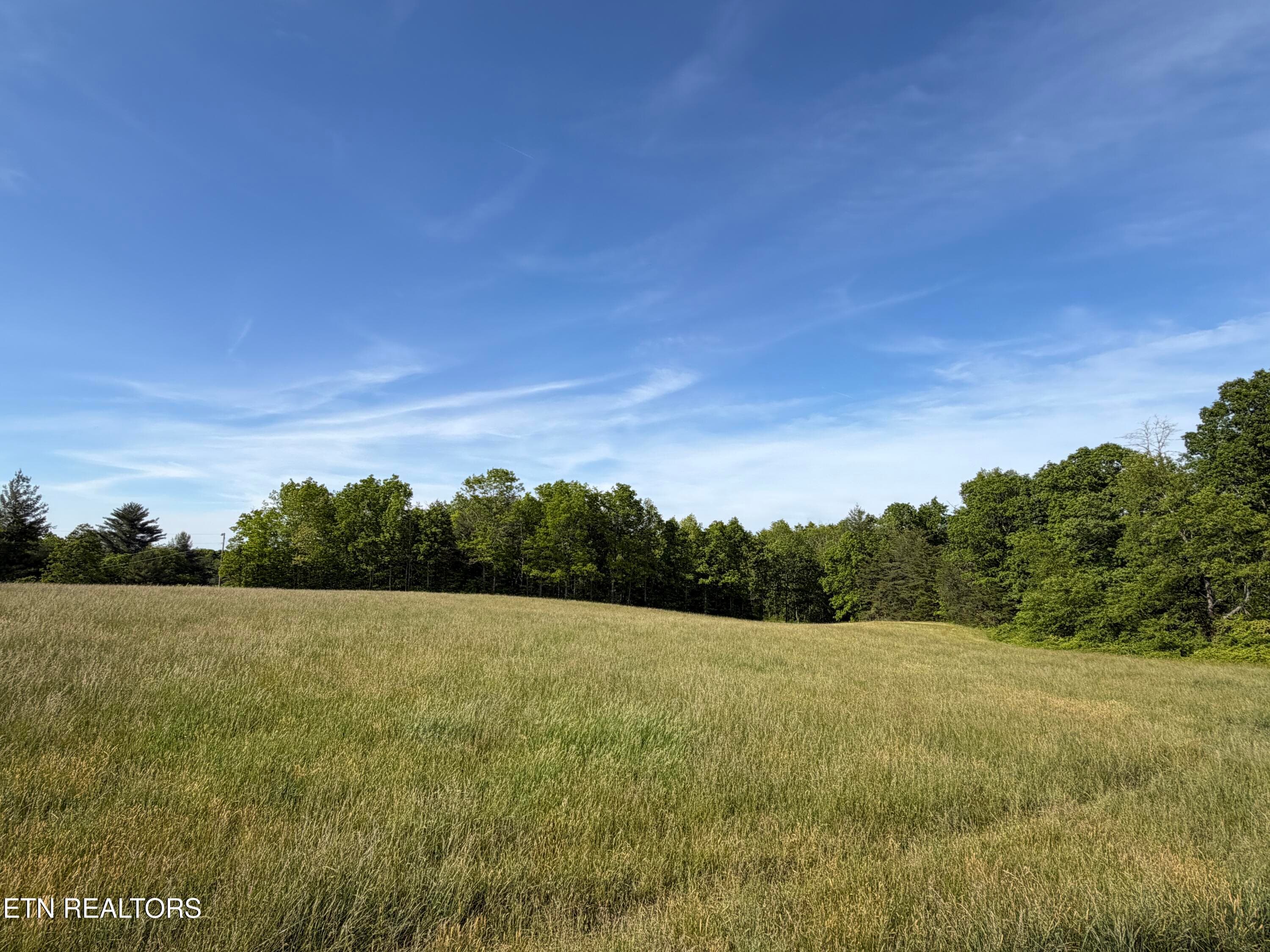 IMG_0420 - 110 Don Conatser Rd, Allardt, TN 38504