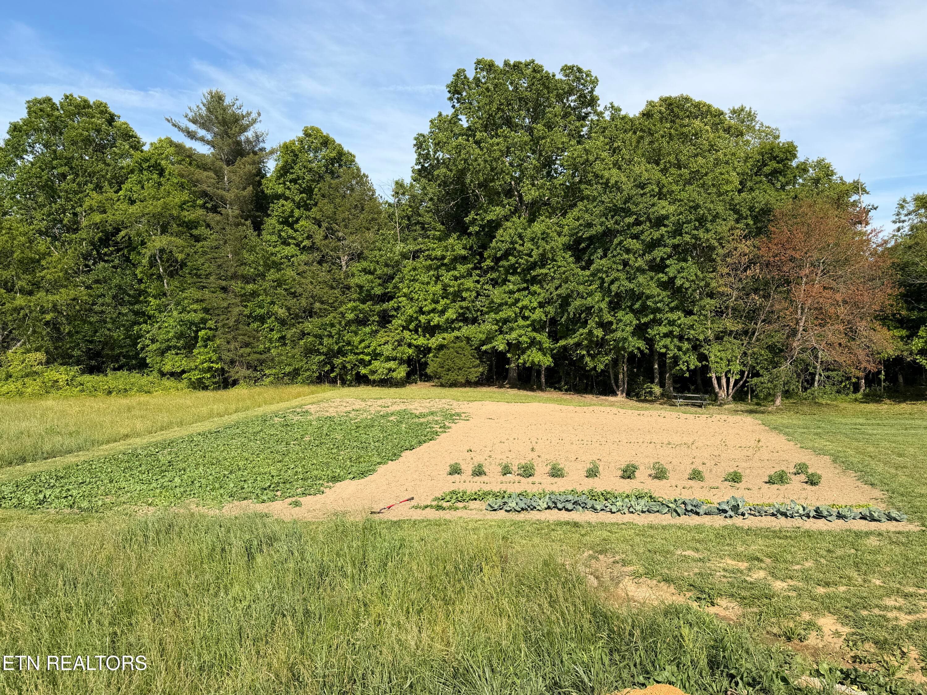 IMG_0421 - 110 Don Conatser Rd, Allardt, TN 38504