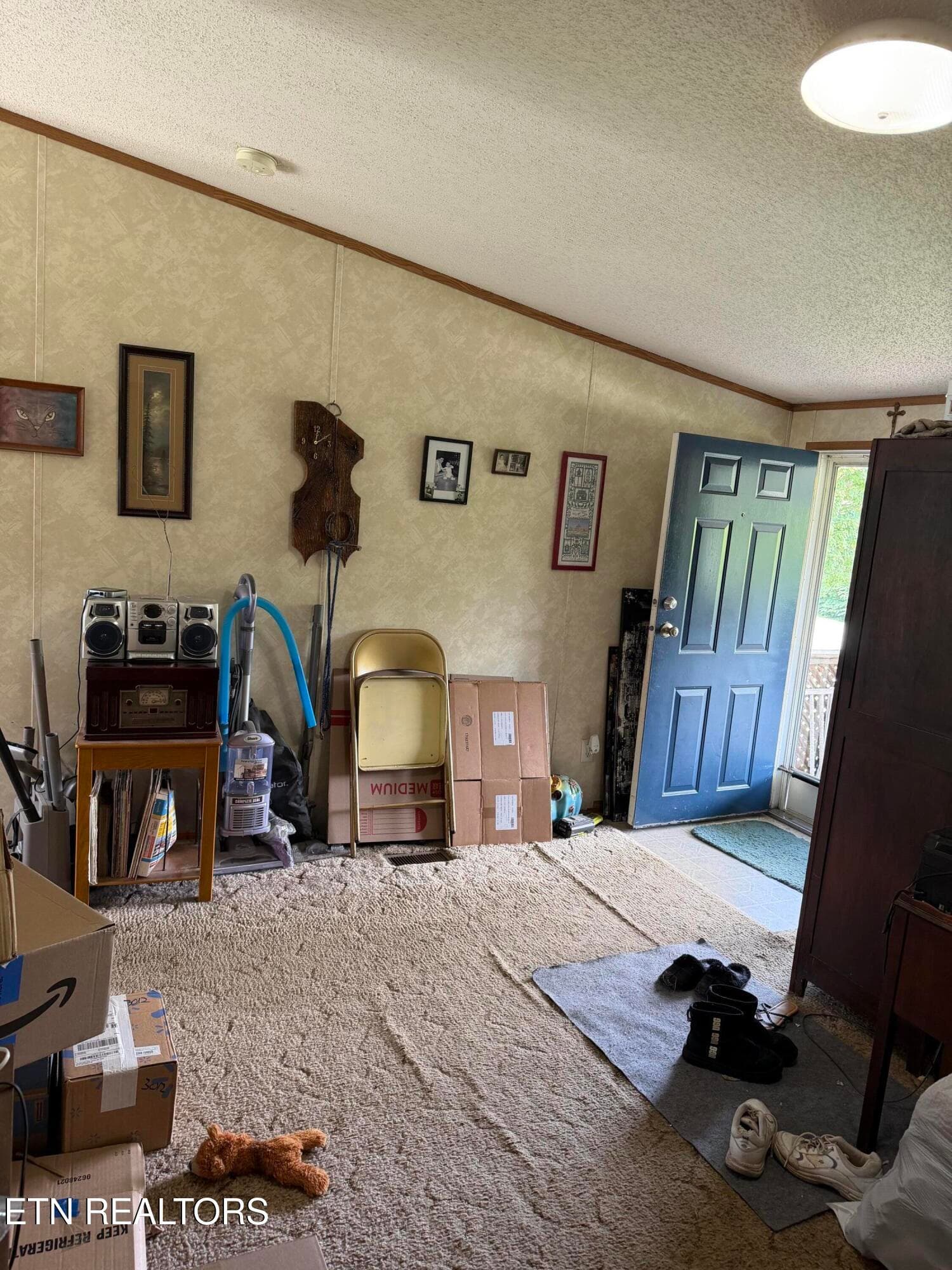image4 (6) - 3012 Brethren Church Rd, White Pine, TN 37890, White Pine