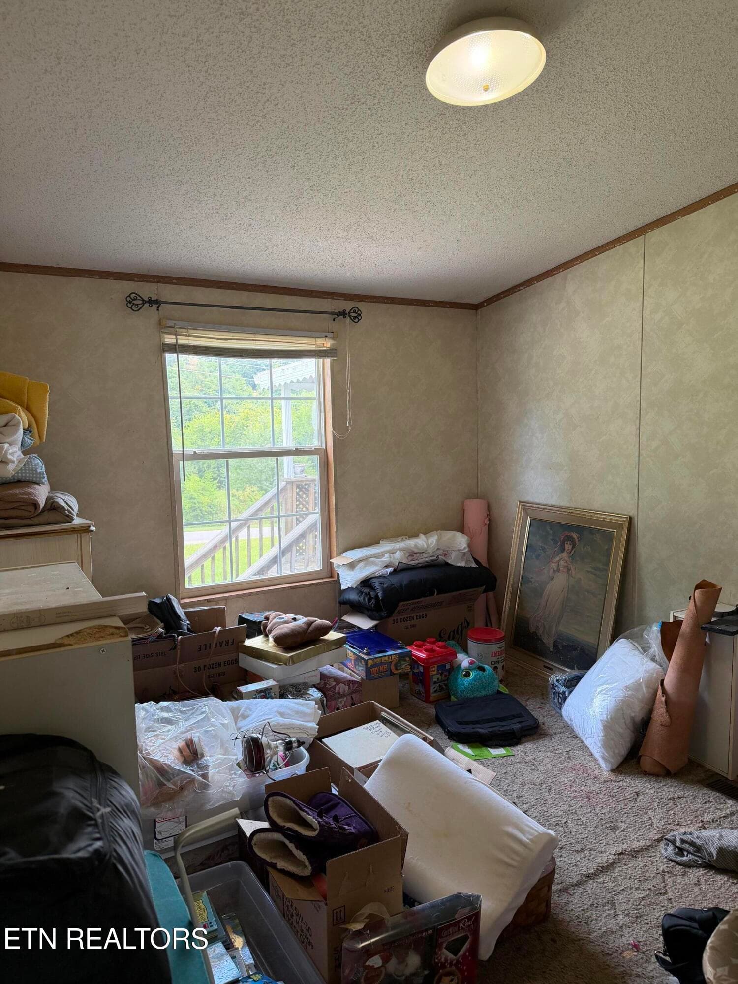 image3 (3) - 3012 Brethren Church Rd, White Pine, TN 37890, White Pine
