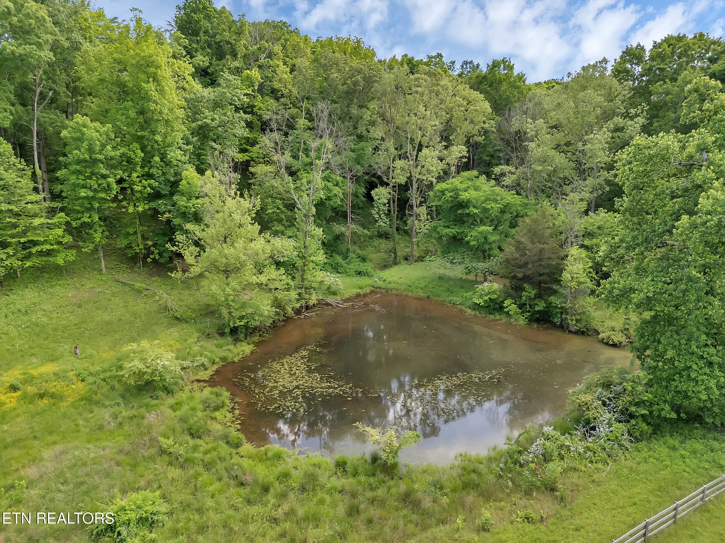 13 - 1155 Marble Hill Rd, Friendsville, TN 37737