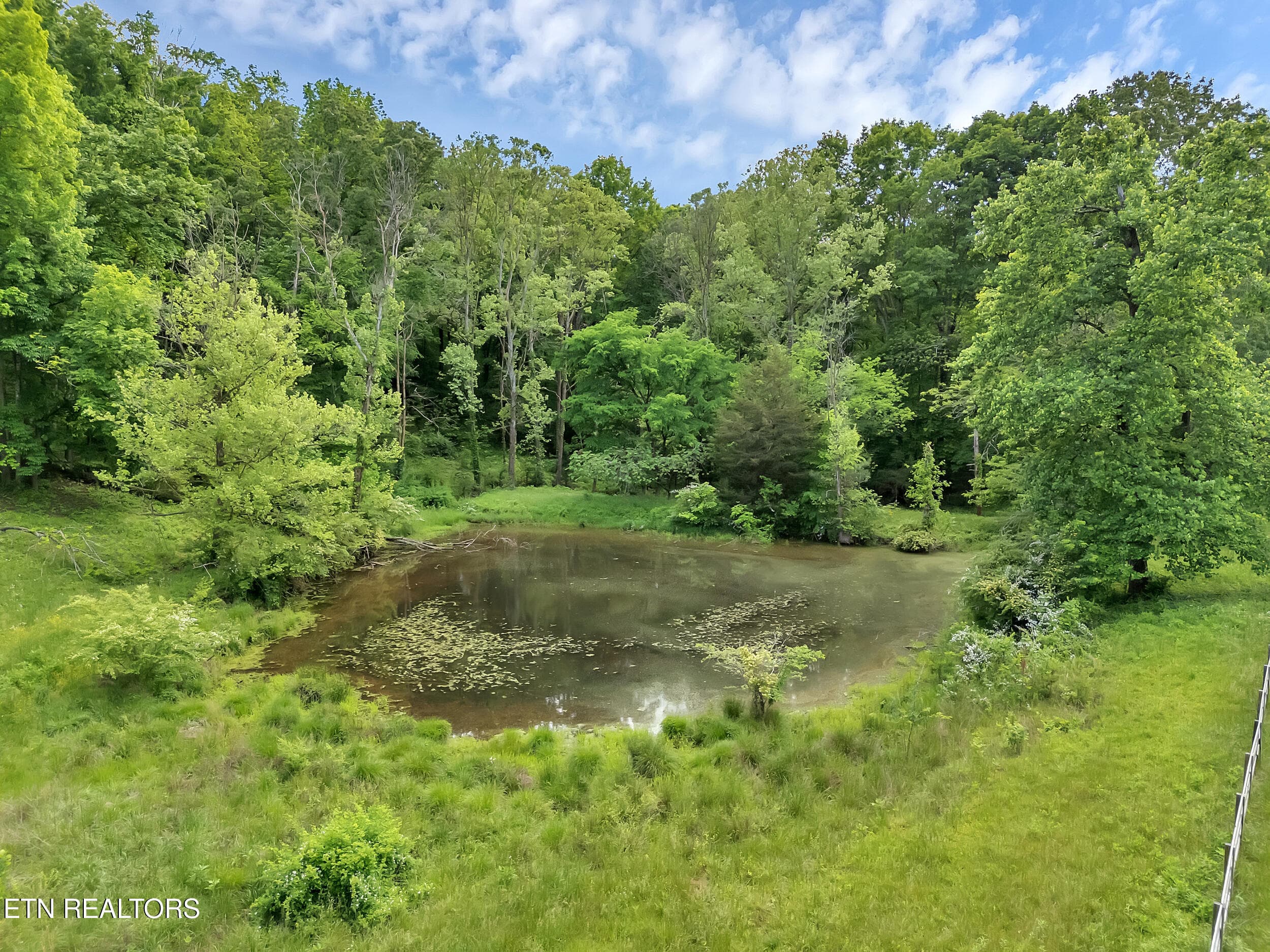 14 - 1155 Marble Hill Rd, Friendsville, TN 37737