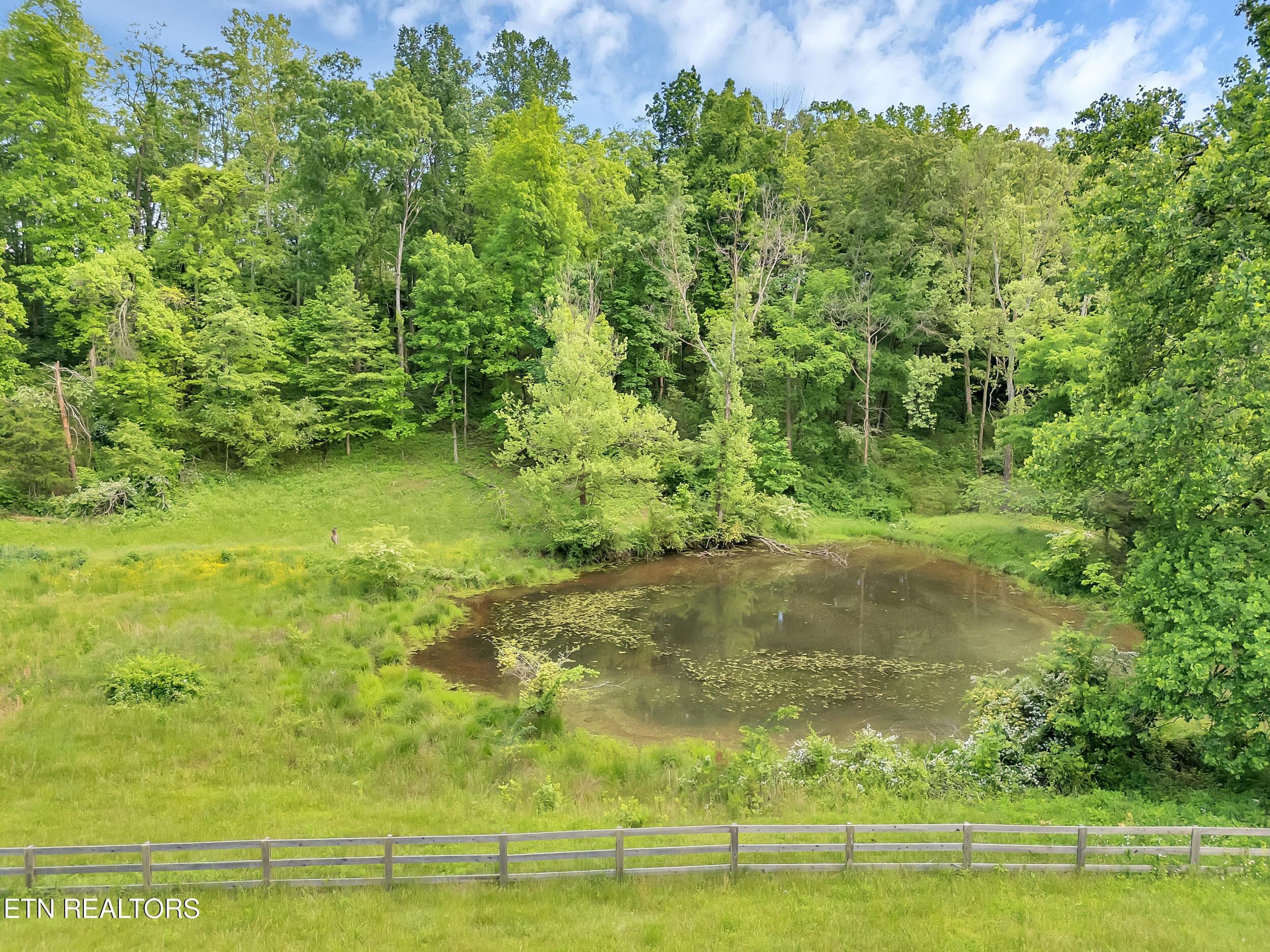 15 - 1155 Marble Hill Rd, Friendsville, TN 37737