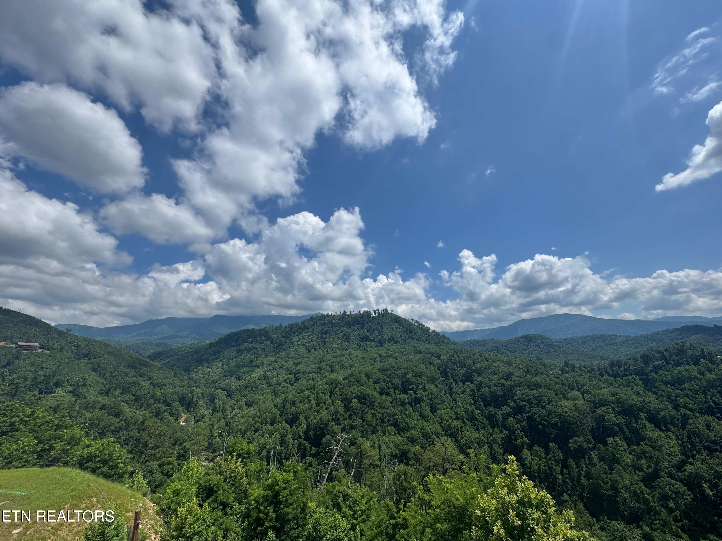 ViewSkiMtnRd - 1110 Ski Mtn Rd, Gatlinburg, TN 37738, Gatlinburg