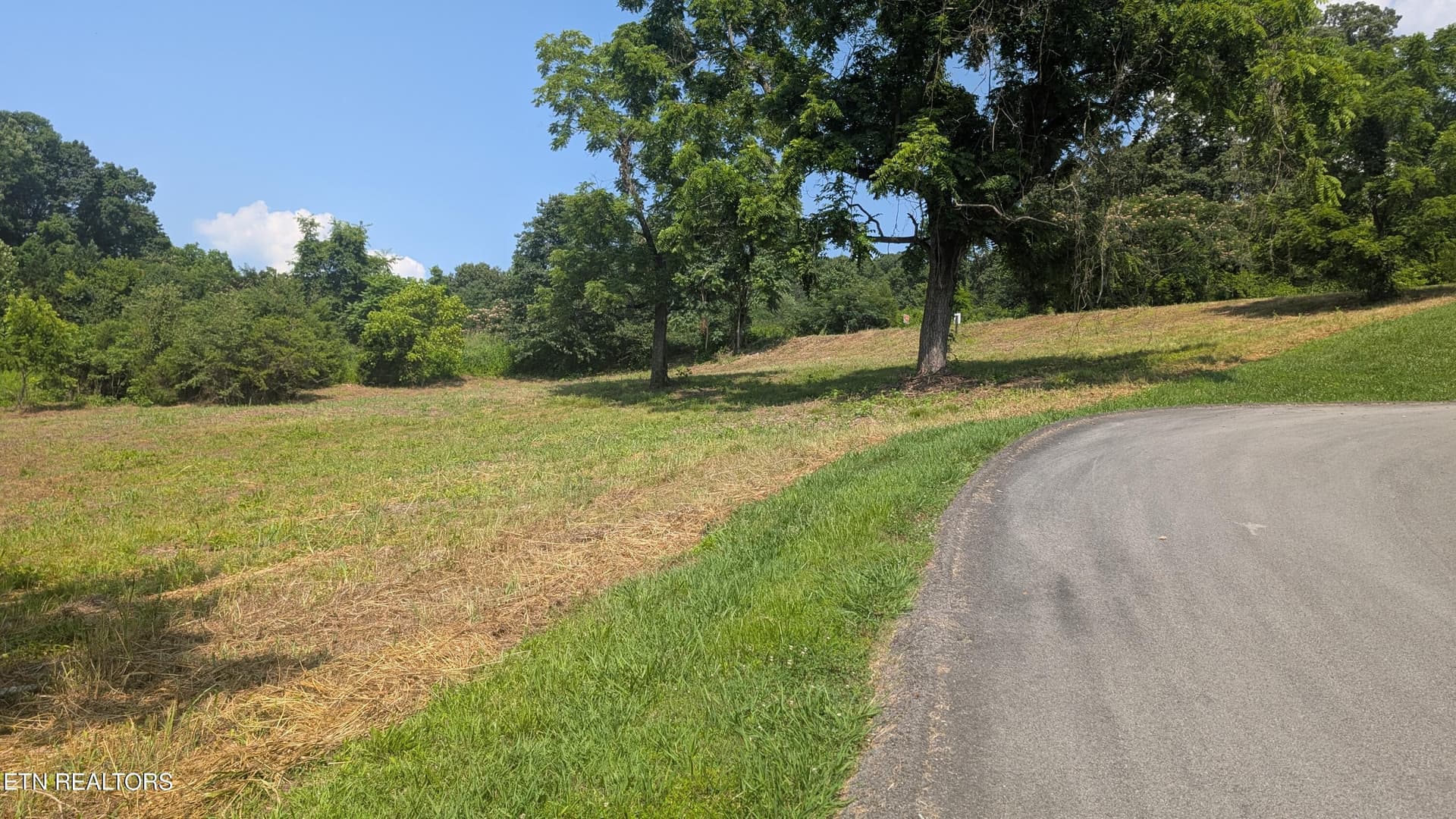 Lot 64 Whispering Court - Seller Pic 4 - 64 Whispering Court, Bean Station, TN 37708
