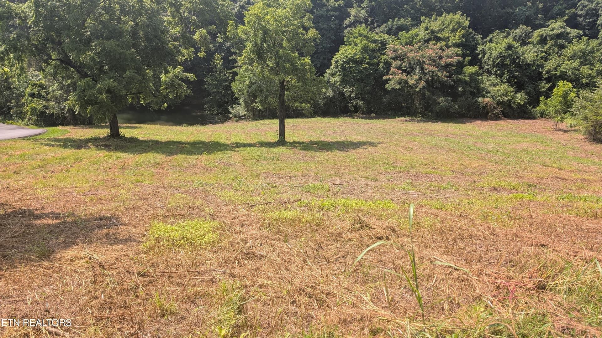 Lot 64 Whispering Court - Seller Pic 5 - 64 Whispering Court, Bean Station, TN 37708
