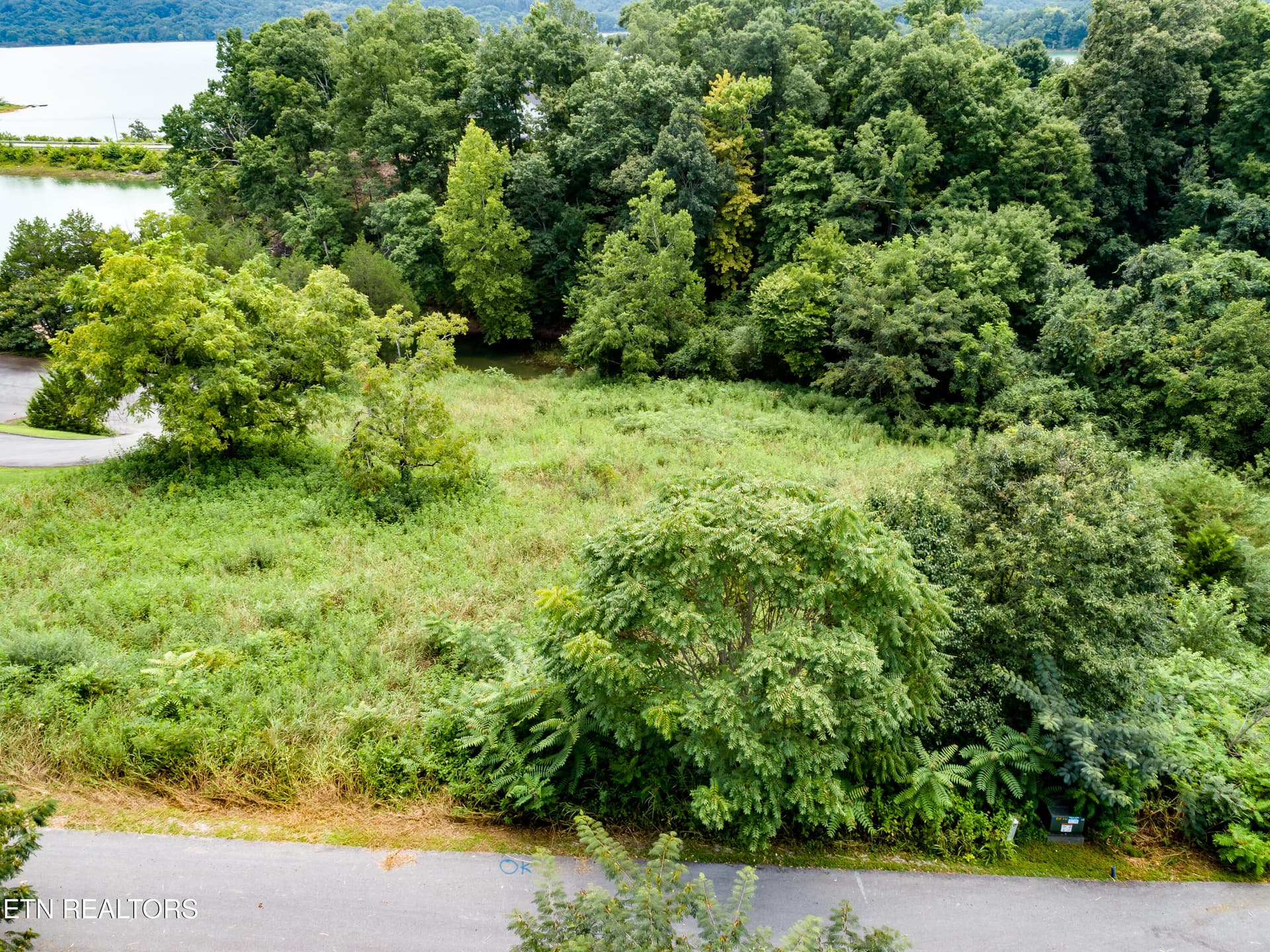 02020260806-2-64WisperingCourtBeanStatio - 64 Whispering Court, Bean Station, TN 37708