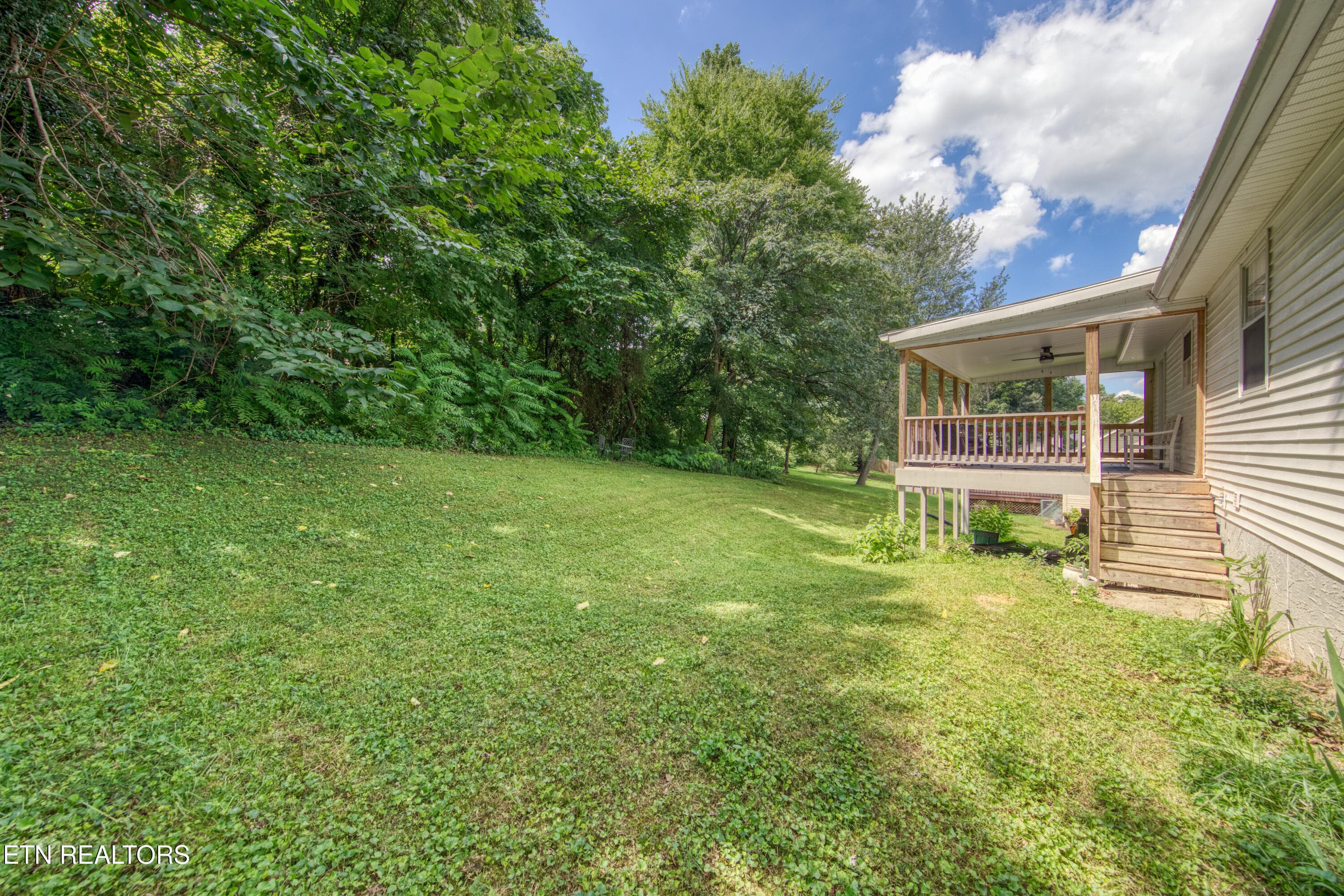 IMG_1521 - 3913 Abercorn Rd, Knoxville, TN 37921