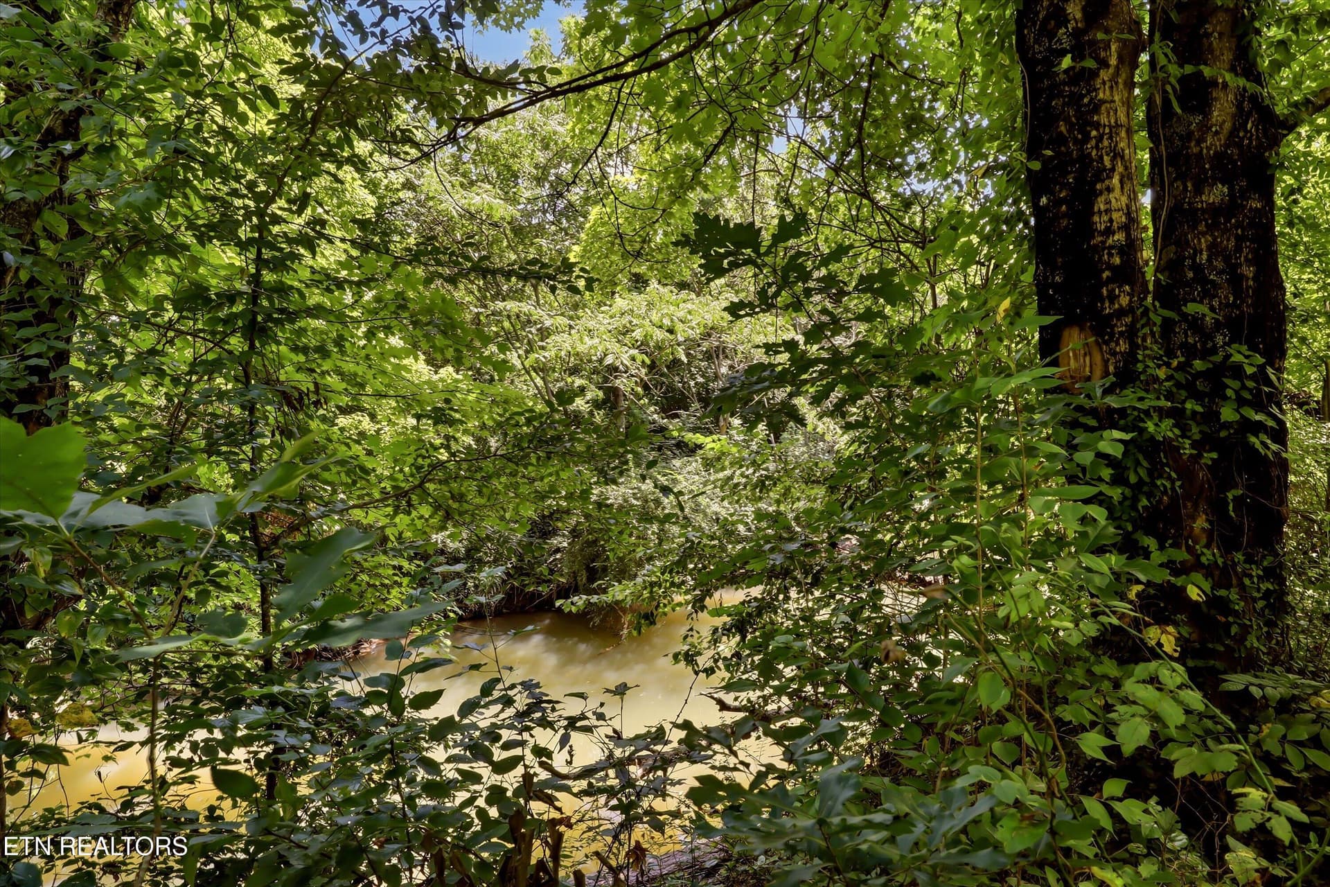 03-FINAL-6 - 289 Midway Drive, Oliver Springs, TN 37840