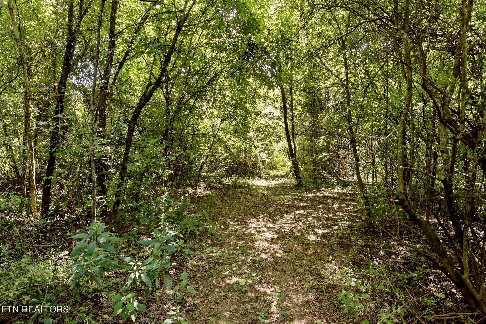 04-FINAL-7 - 289 Midway Drive, Oliver Springs, TN 37840