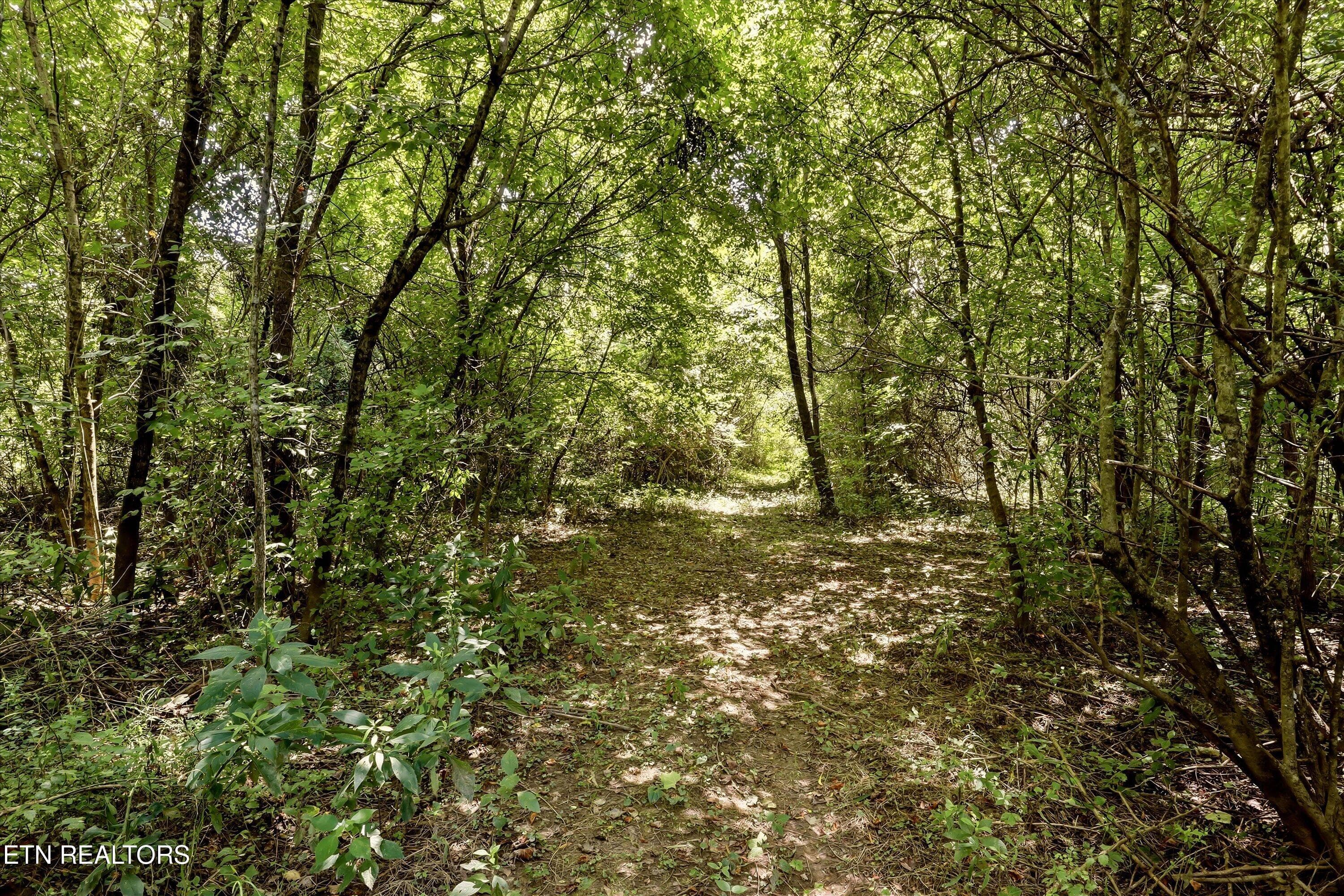 04-FINAL-7 - 289 Midway Drive, Oliver Springs, TN 37840, Oliver Springs