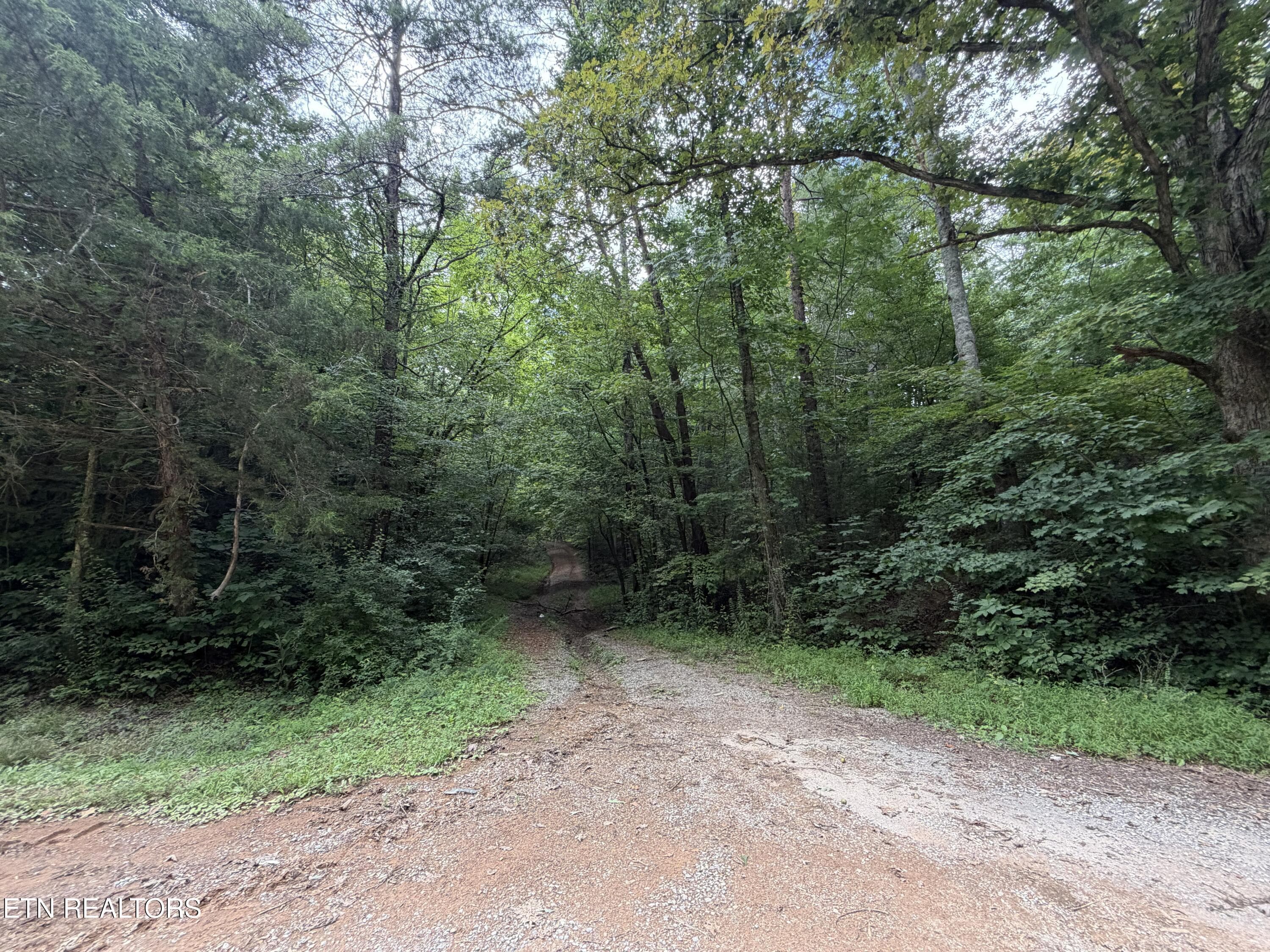 Lots 1-5 Forge Hideaway Rd, Pigeon Forge, TN 37863