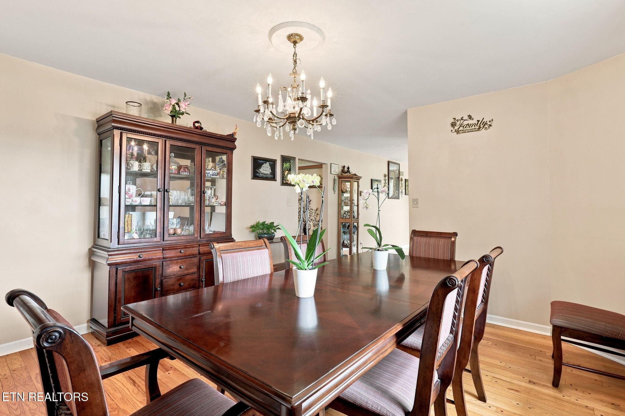 6-web-or-mls-c82b7bb6-bbec-475e-8c03-cbc - 11141 Sonja Drive, Knoxville, TN 37934, Knoxville