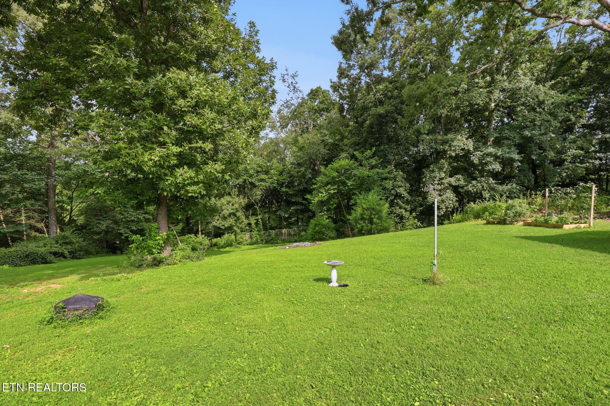 50-web-or-mls-DZ3A7597 - 11141 Sonja Drive, Knoxville, TN 37934, Knoxville